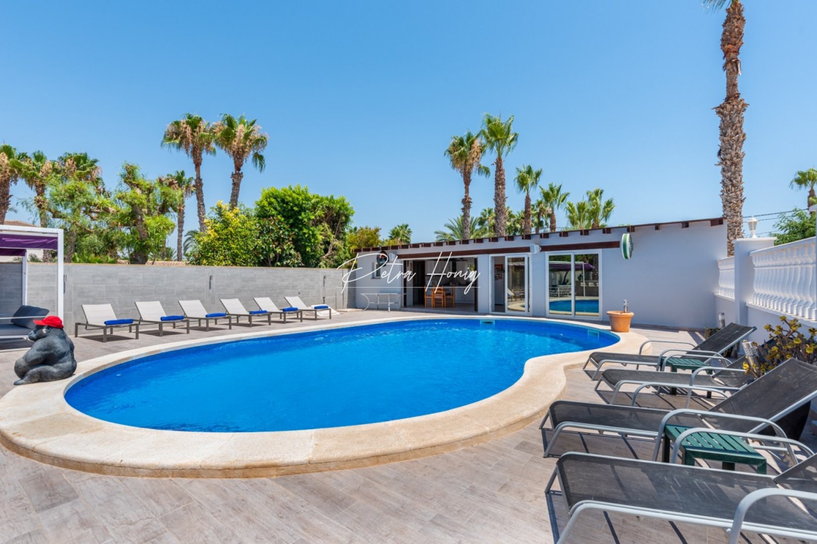 Resales - Finca - Catral