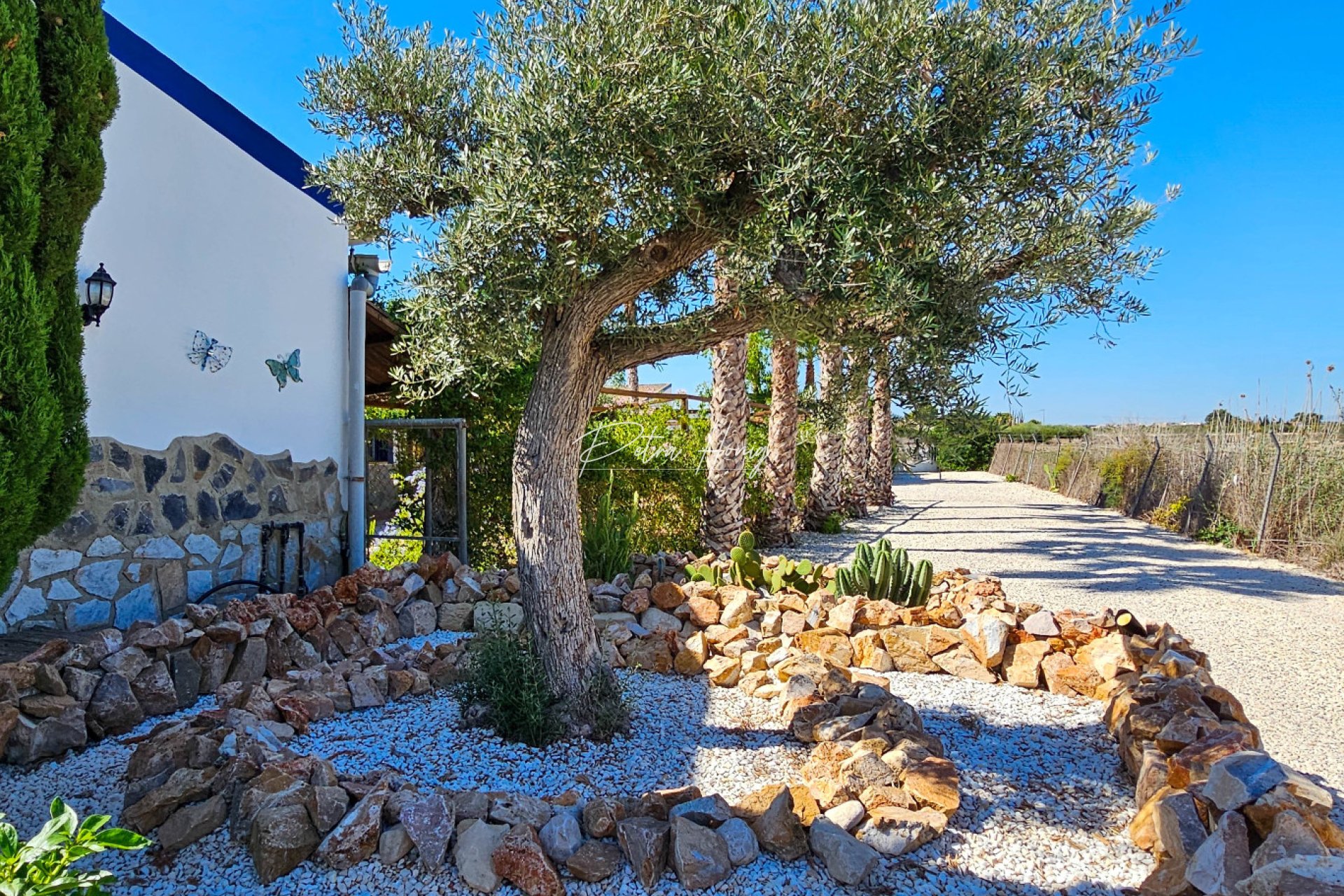 Resales - Finca - Crevillente