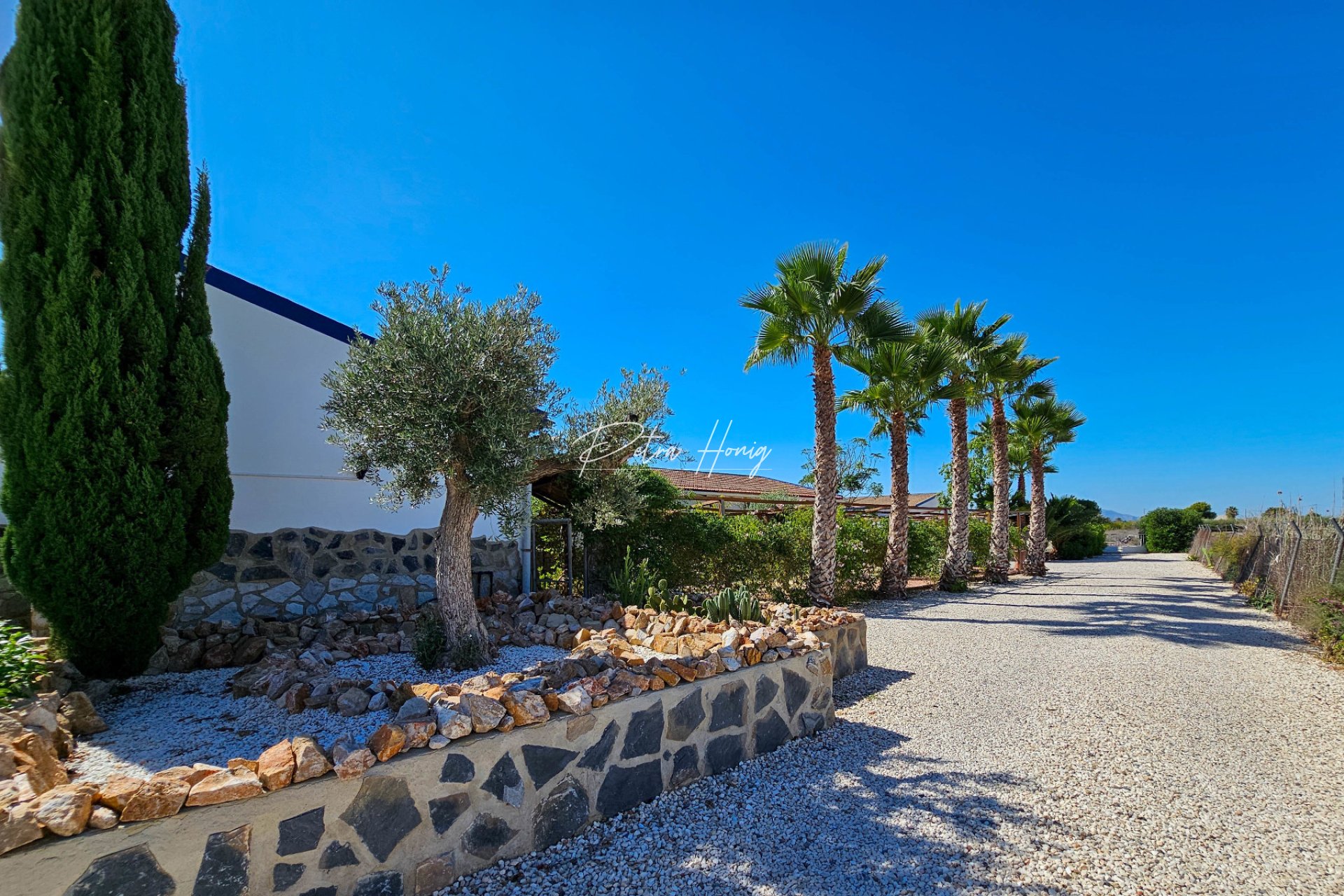 Resales - Finca - Crevillente