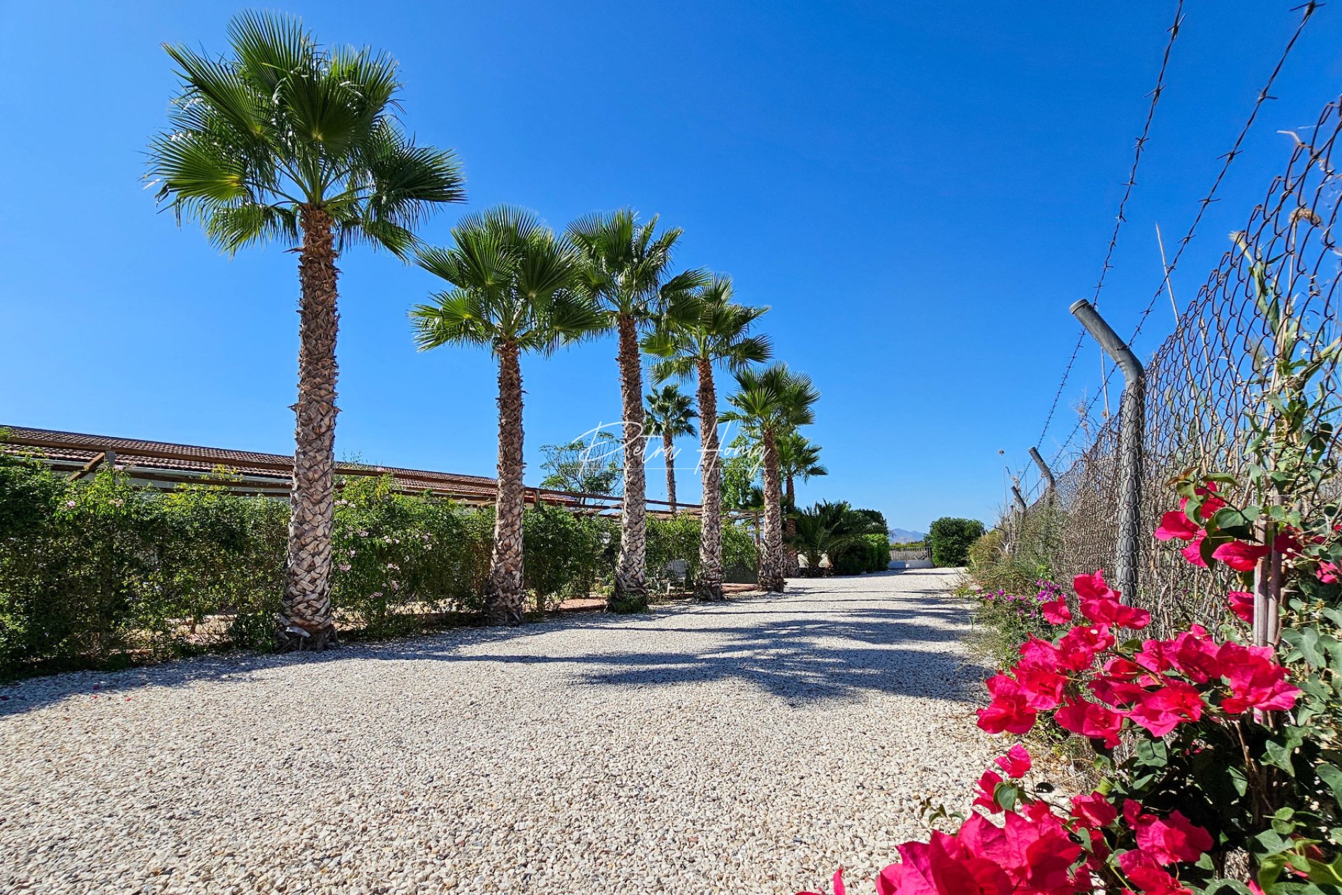 Resales - Finca - Crevillente