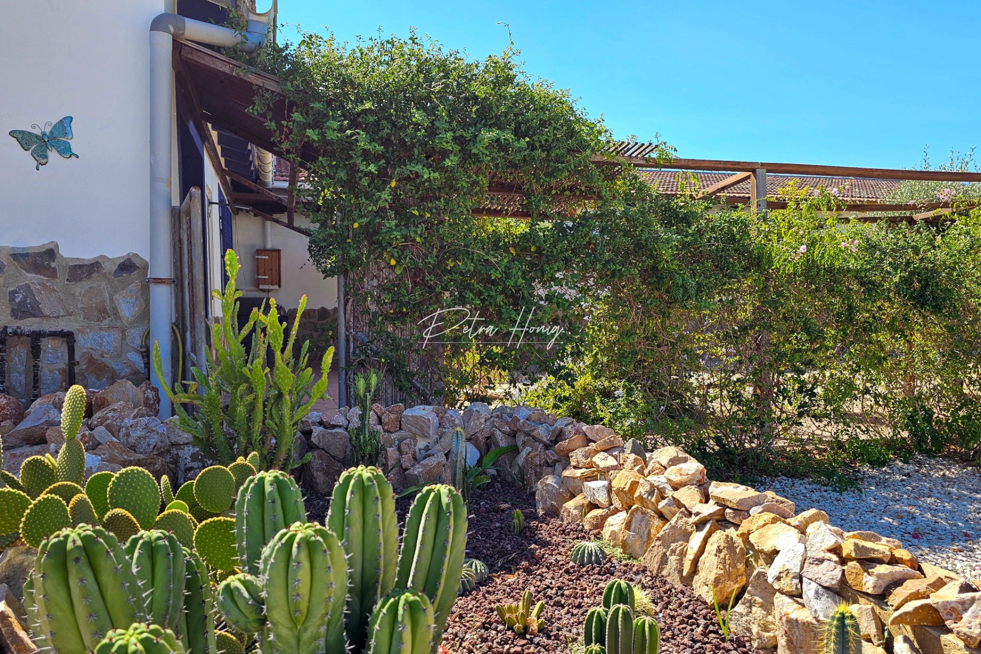 Resales - Finca - Crevillente