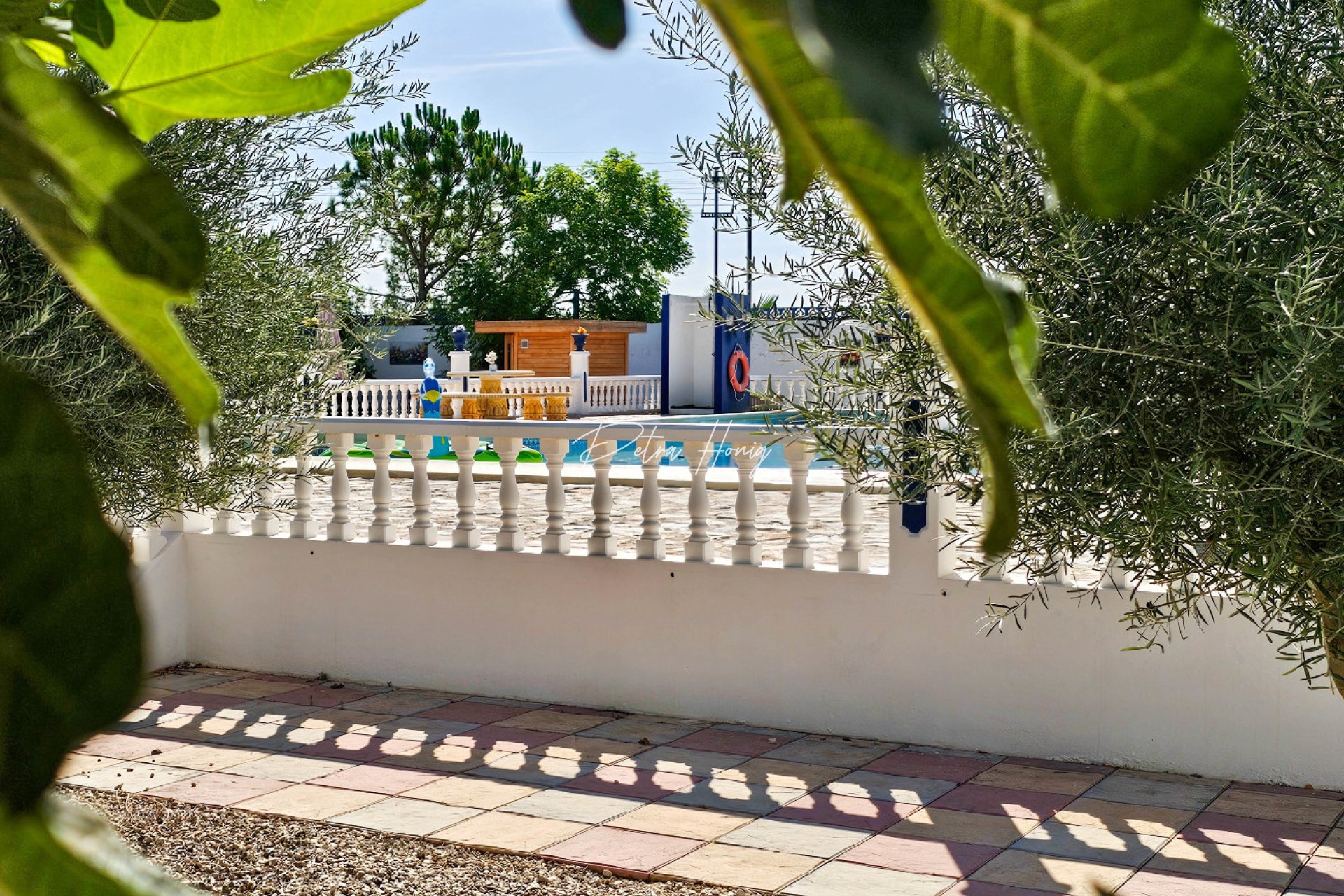 Resales - Finca - Crevillente