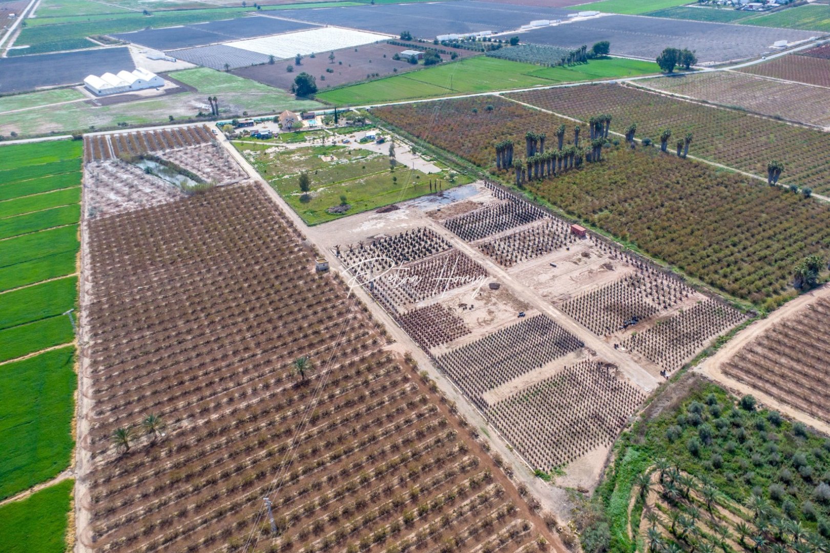 Resales - Finca - Crevillente