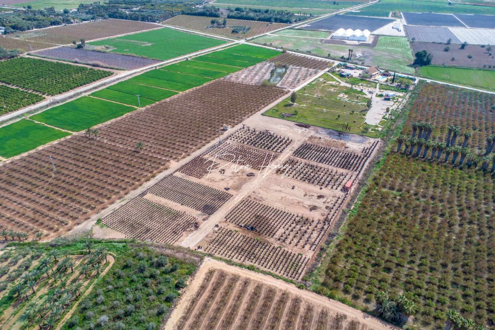 Resales - Finca - Crevillente