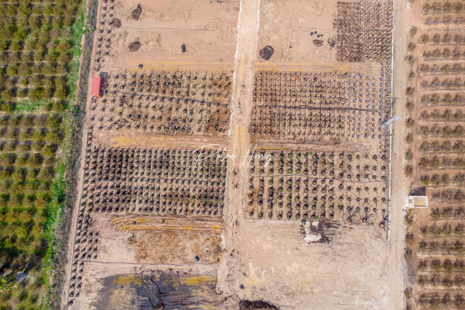 Resales - Finca - Crevillente