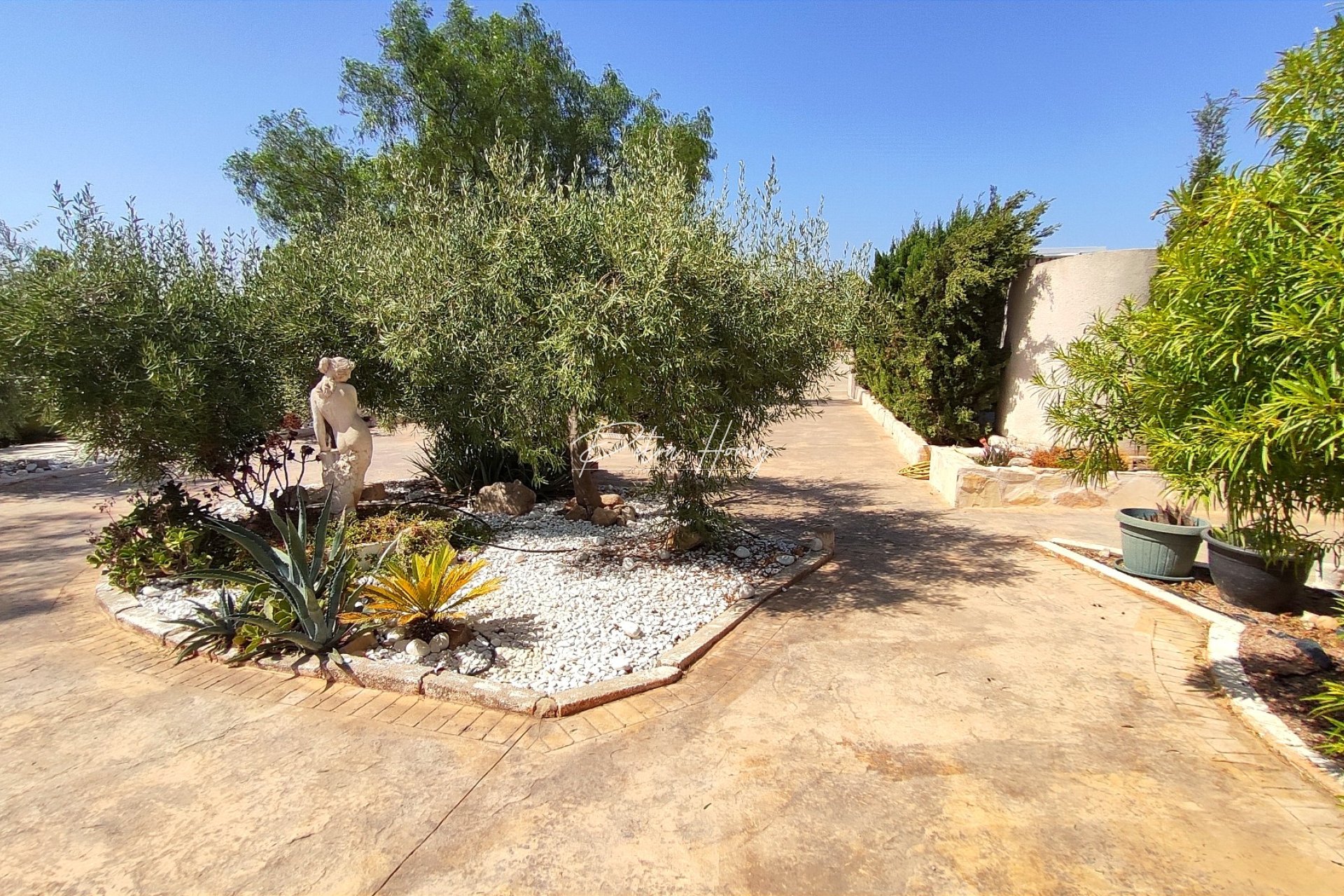 Resales - Finca - Crevillente