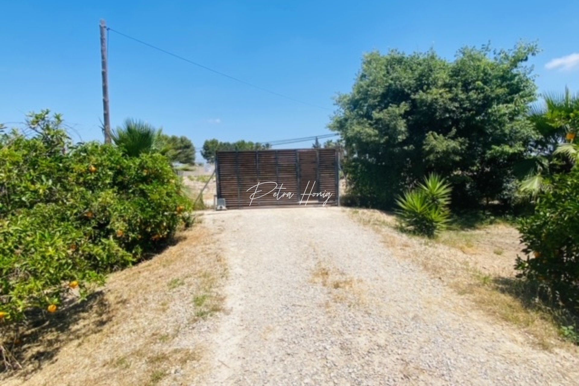 Resales - Finca - Daya Nueva