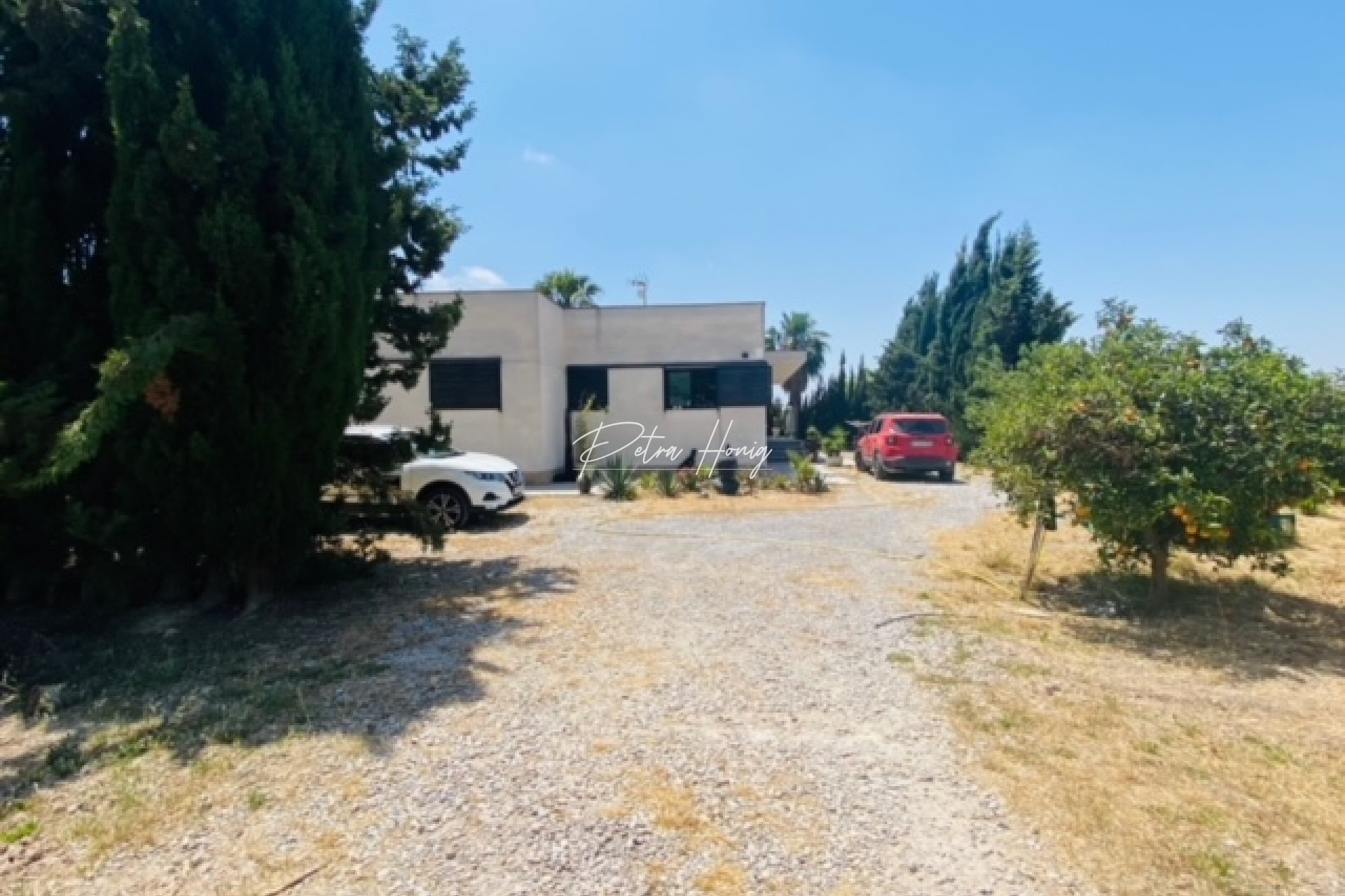 Resales - Finca - Daya Nueva