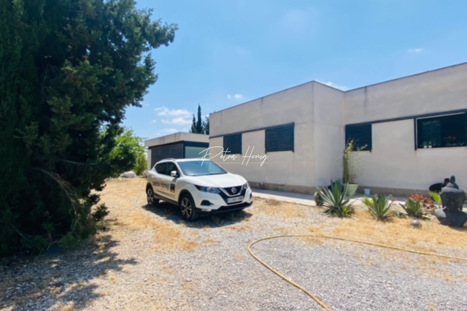 Resales - Finca - Daya Nueva