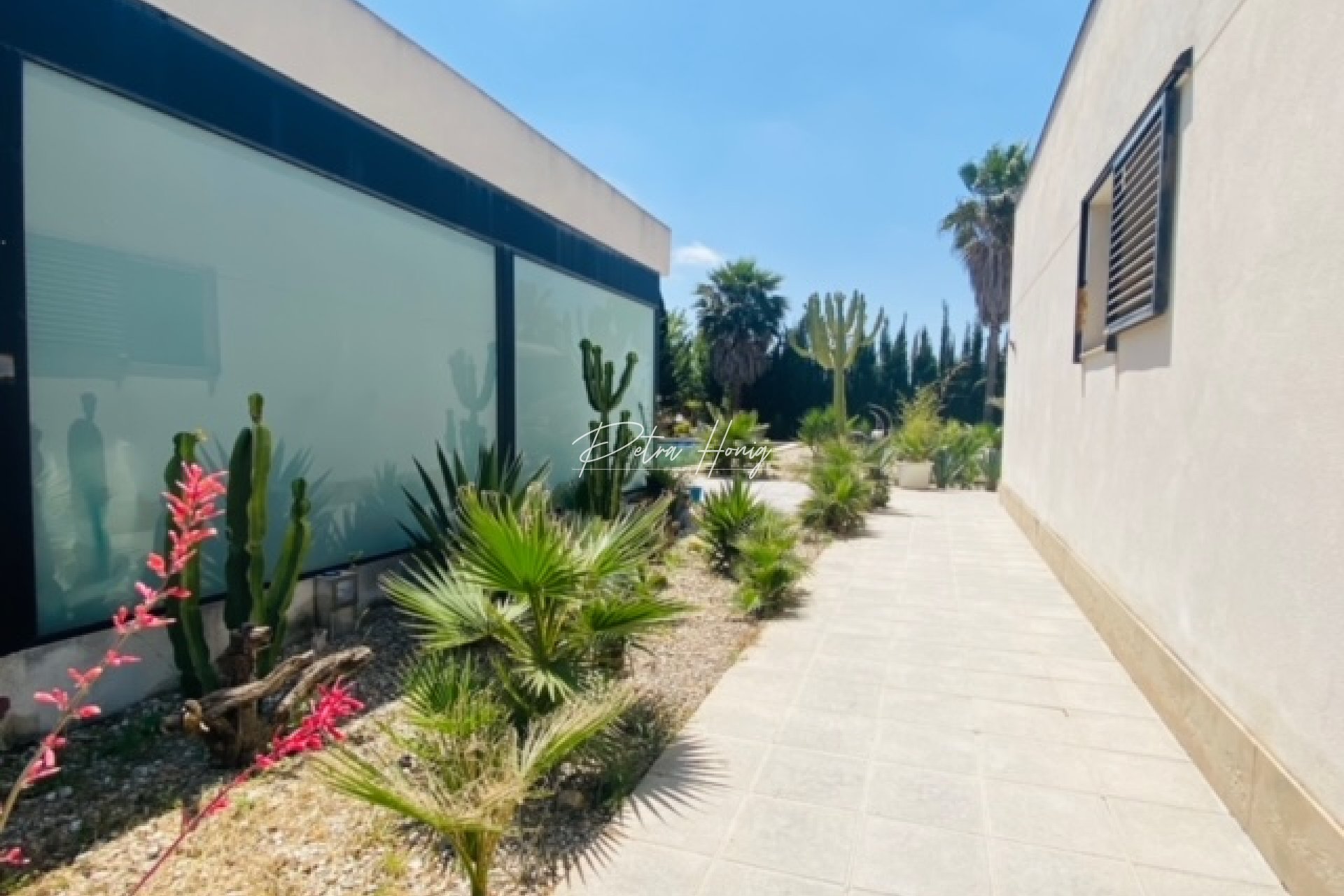 Resales - Finca - Daya Nueva