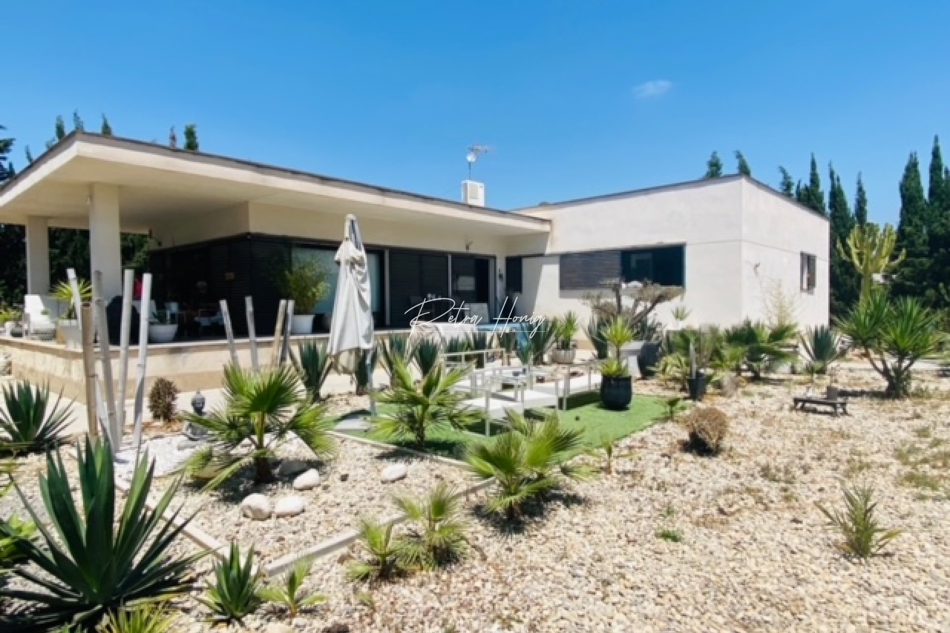 Resales - Finca - Daya Nueva