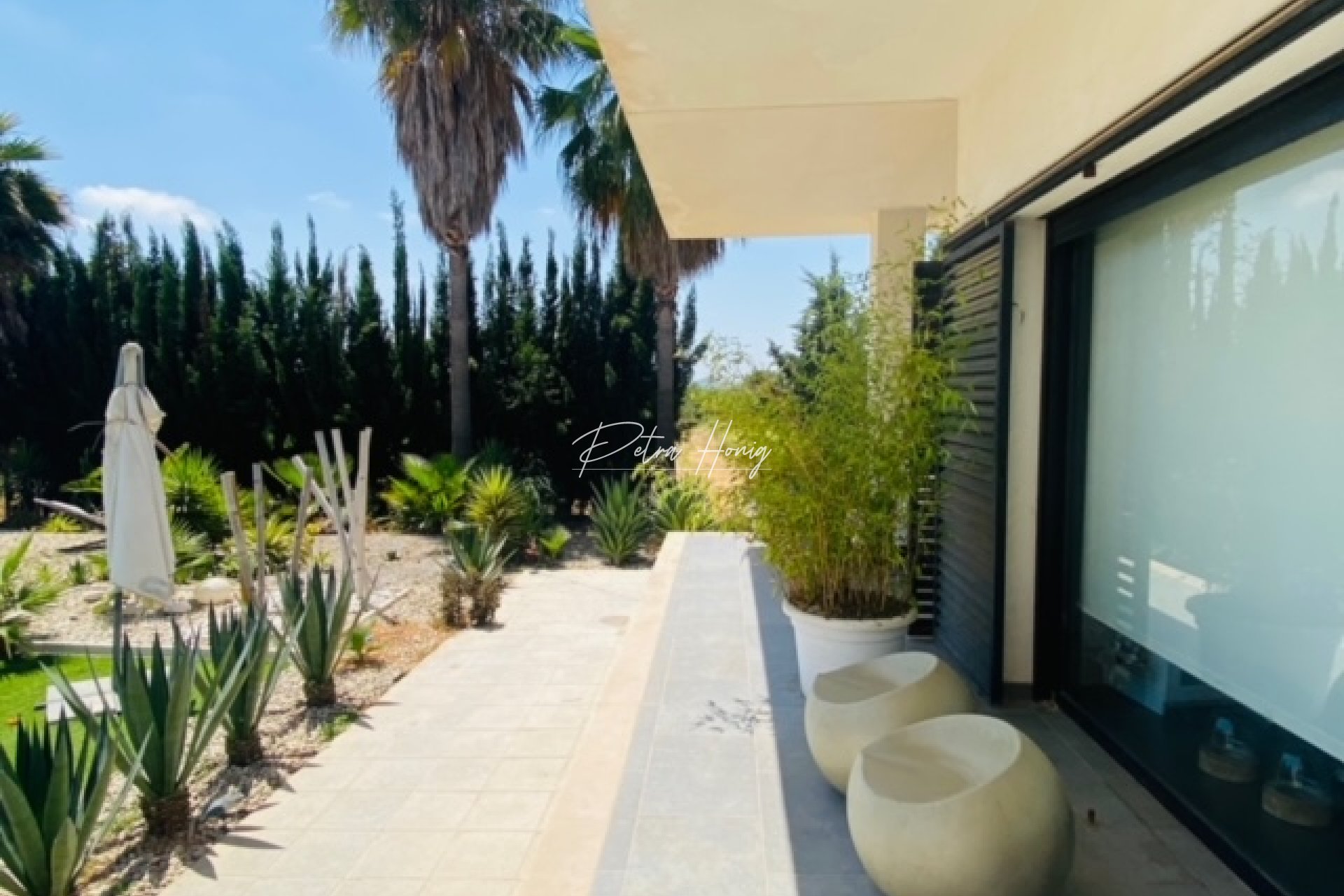 Resales - Finca - Daya Nueva