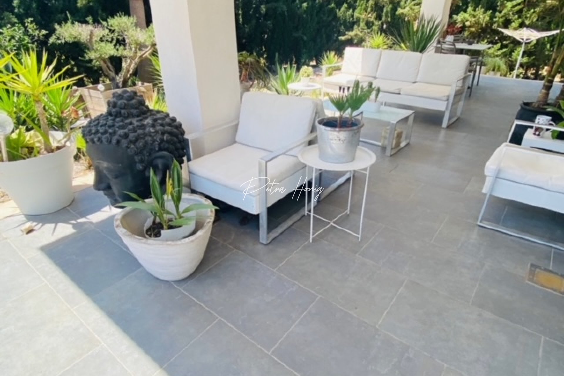 Resales - Finca - Daya Nueva