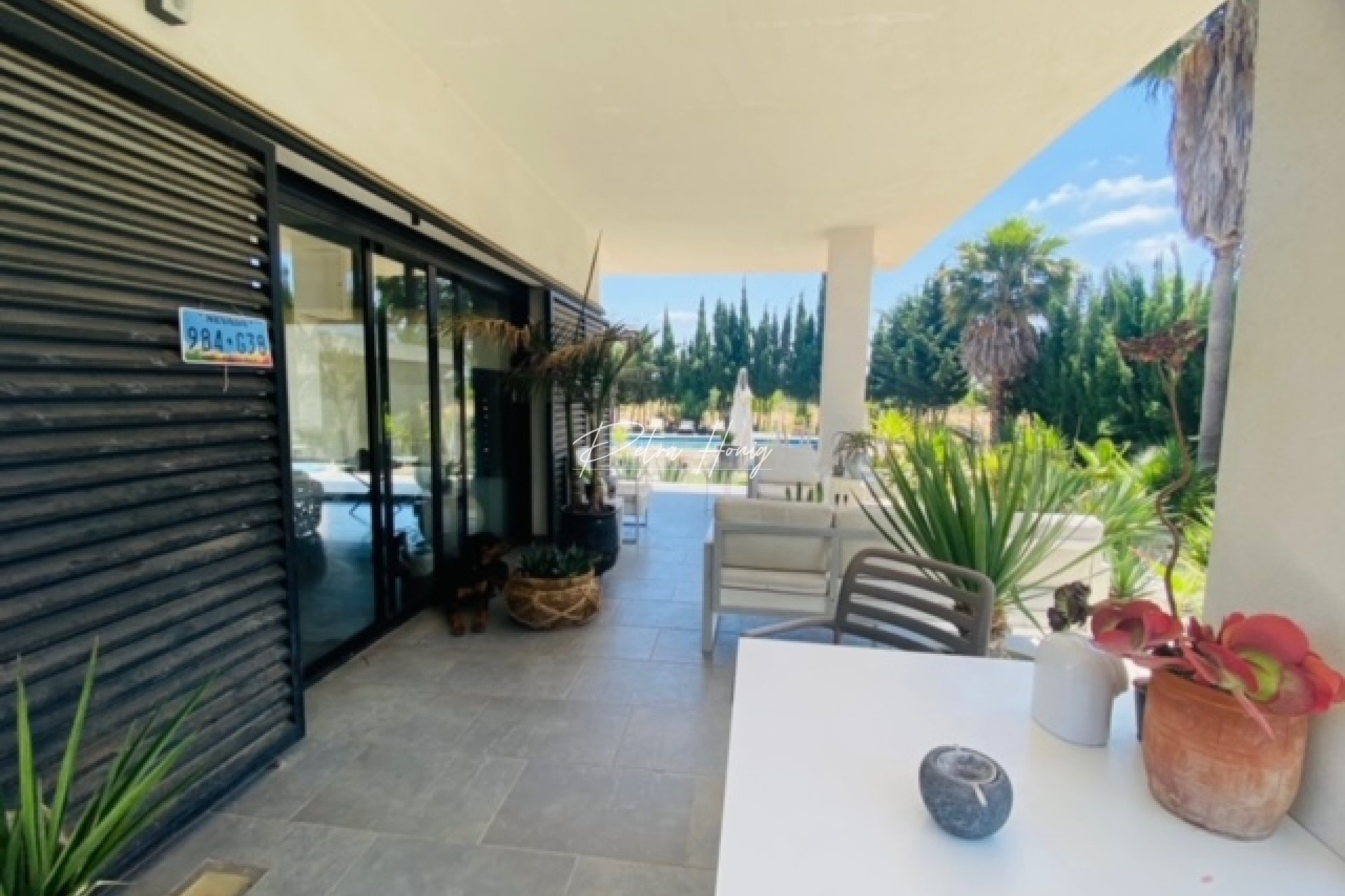 Resales - Finca - Daya Nueva