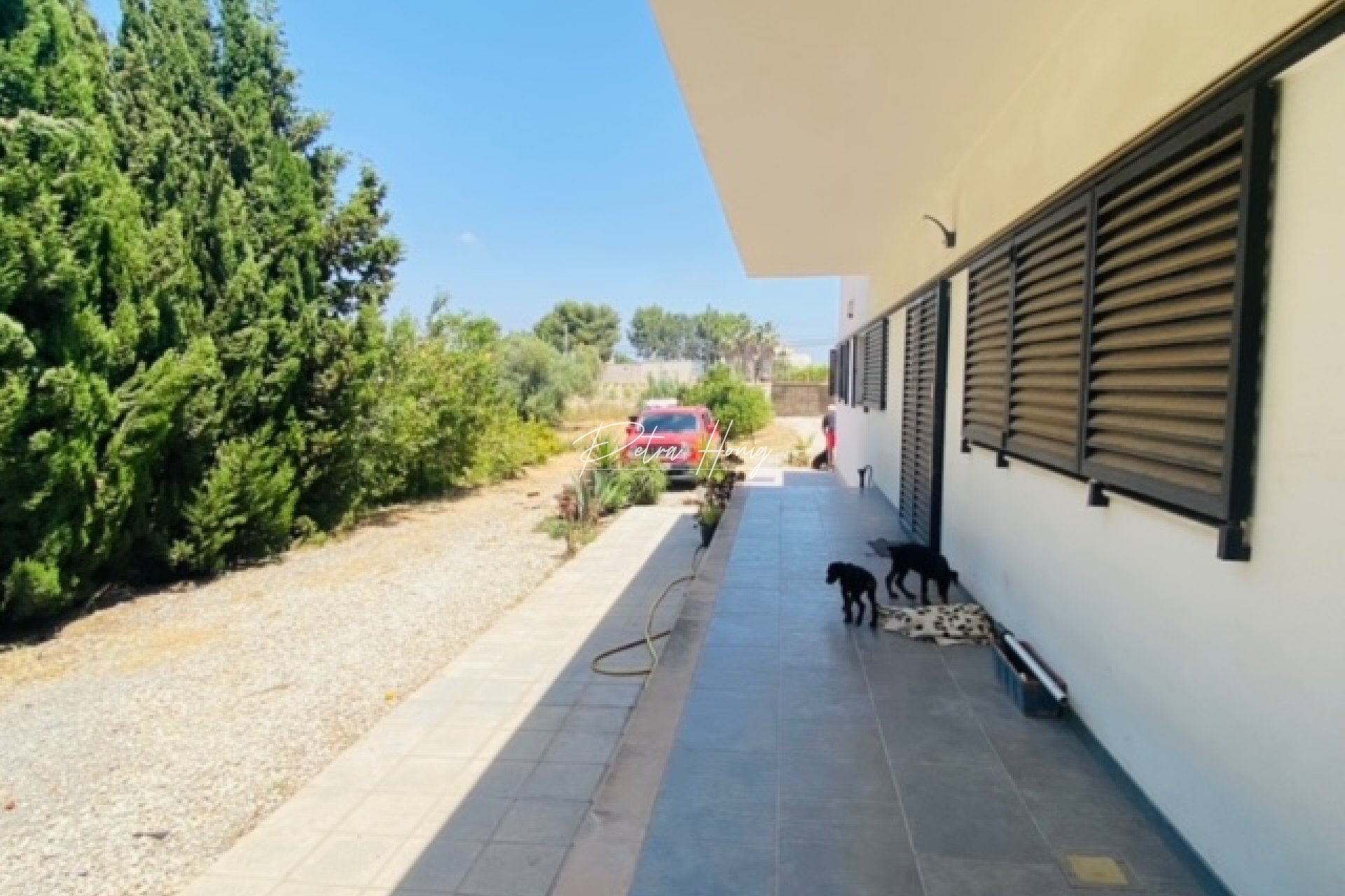 Resales - Finca - Daya Nueva