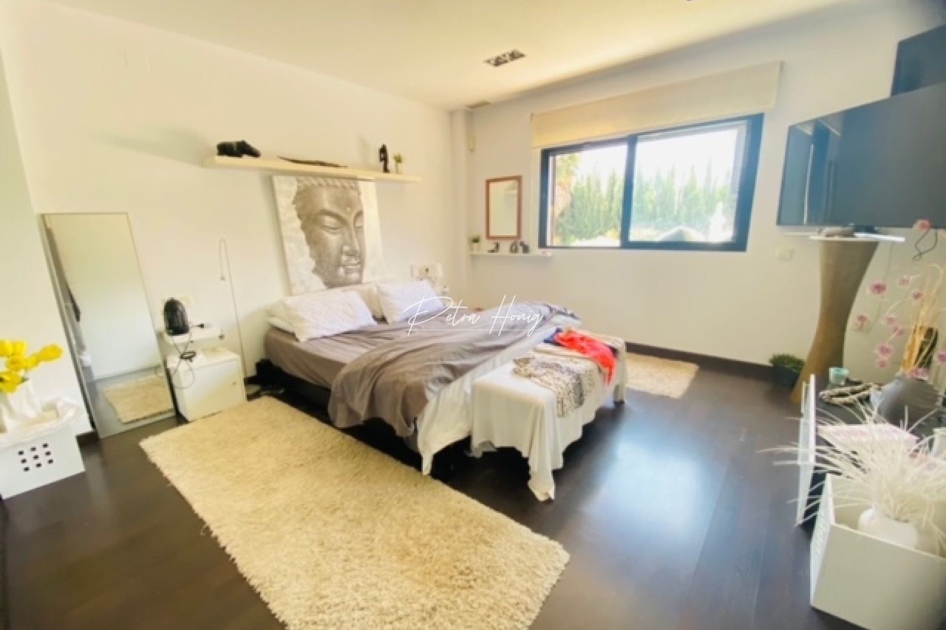 Resales - Finca - Daya Nueva
