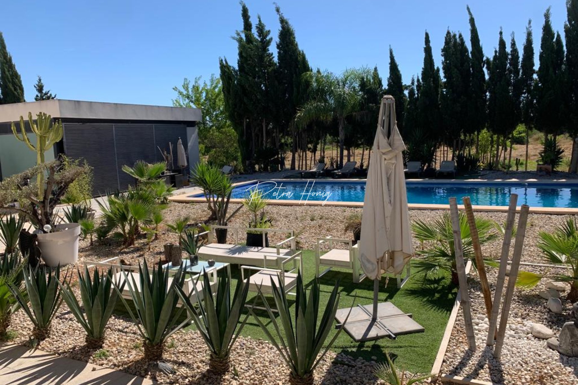 Resales - Finca - Daya Nueva