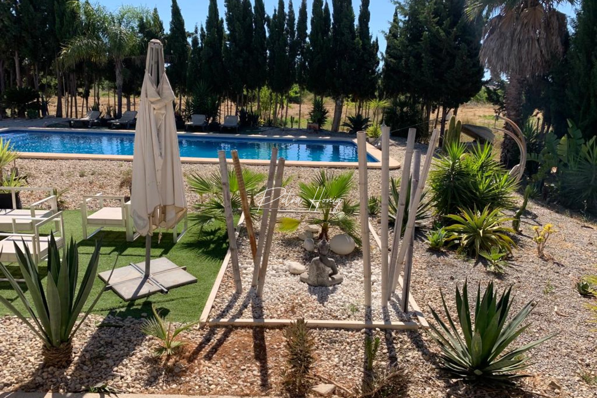 Resales - Finca - Daya Nueva