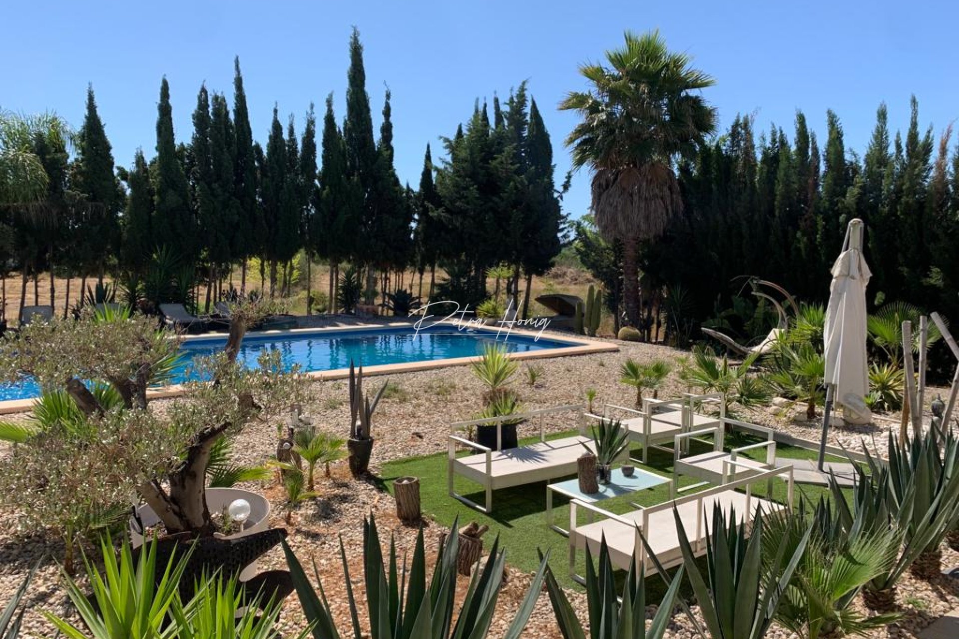 Resales - Finca - Daya Nueva