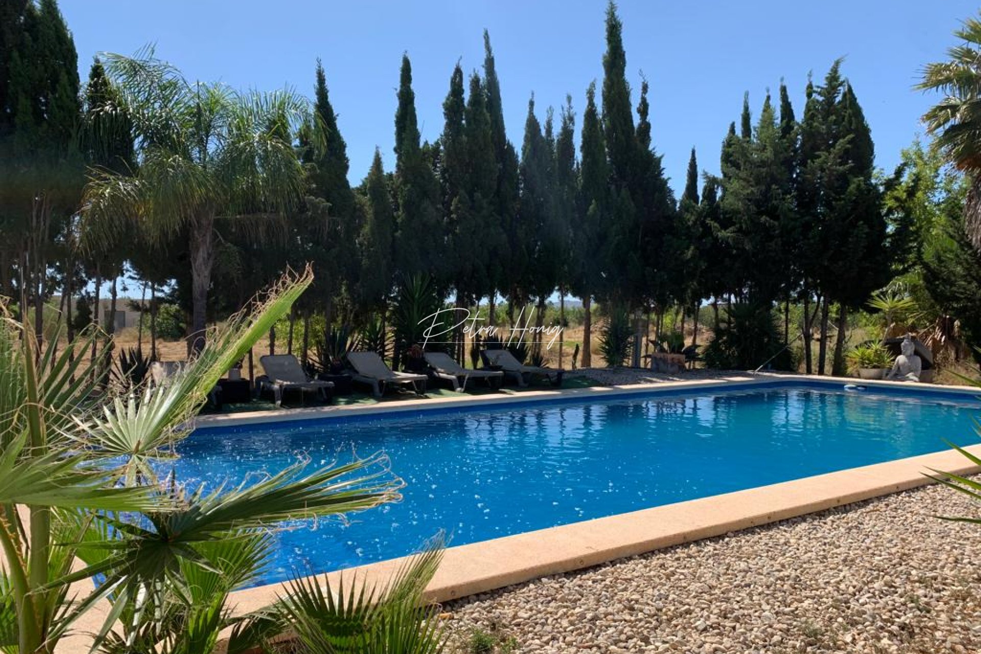 Resales - Finca - Daya Nueva