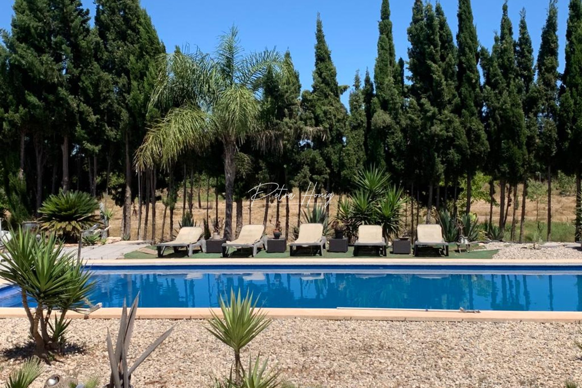 Resales - Finca - Daya Nueva