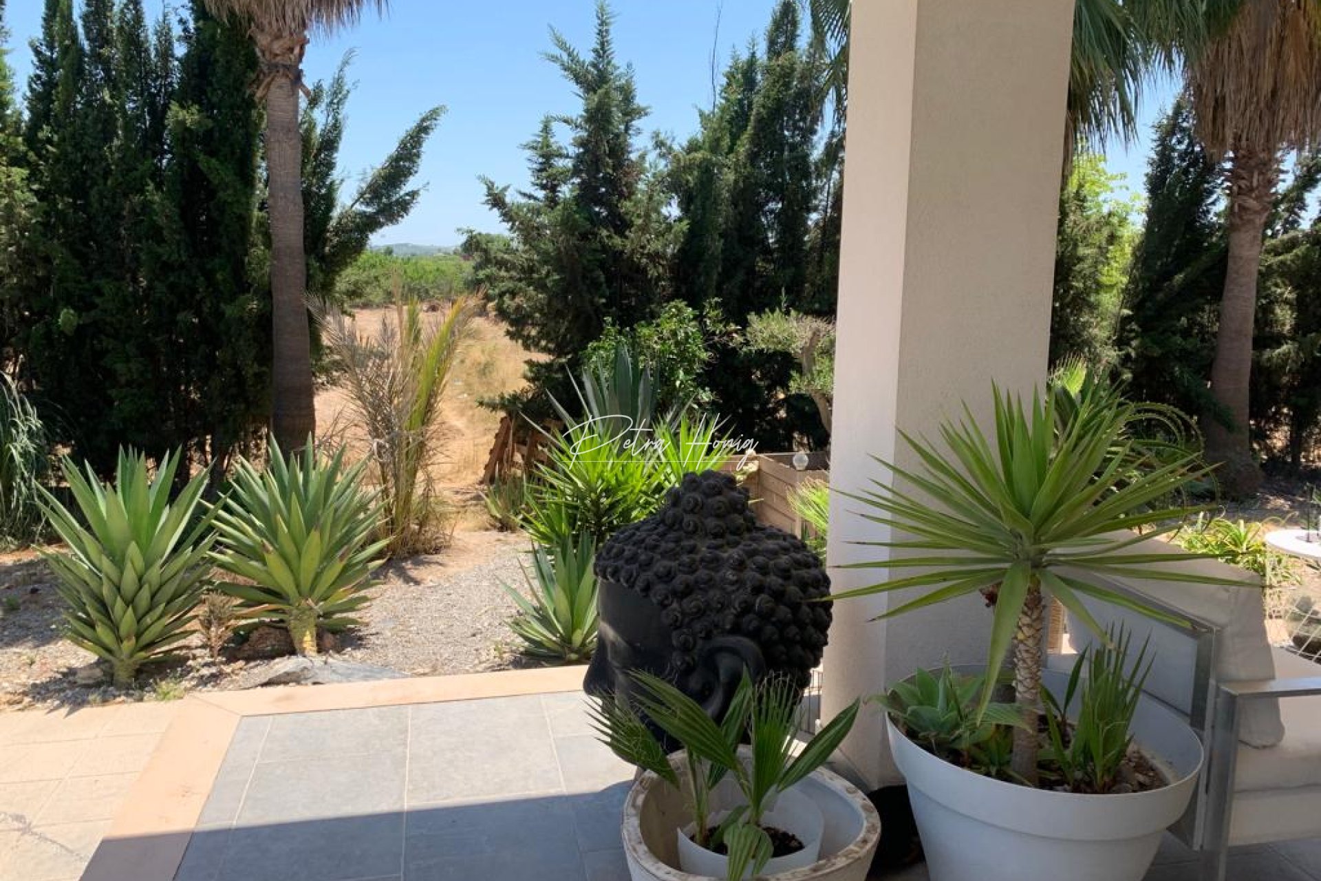 Resales - Finca - Daya Nueva