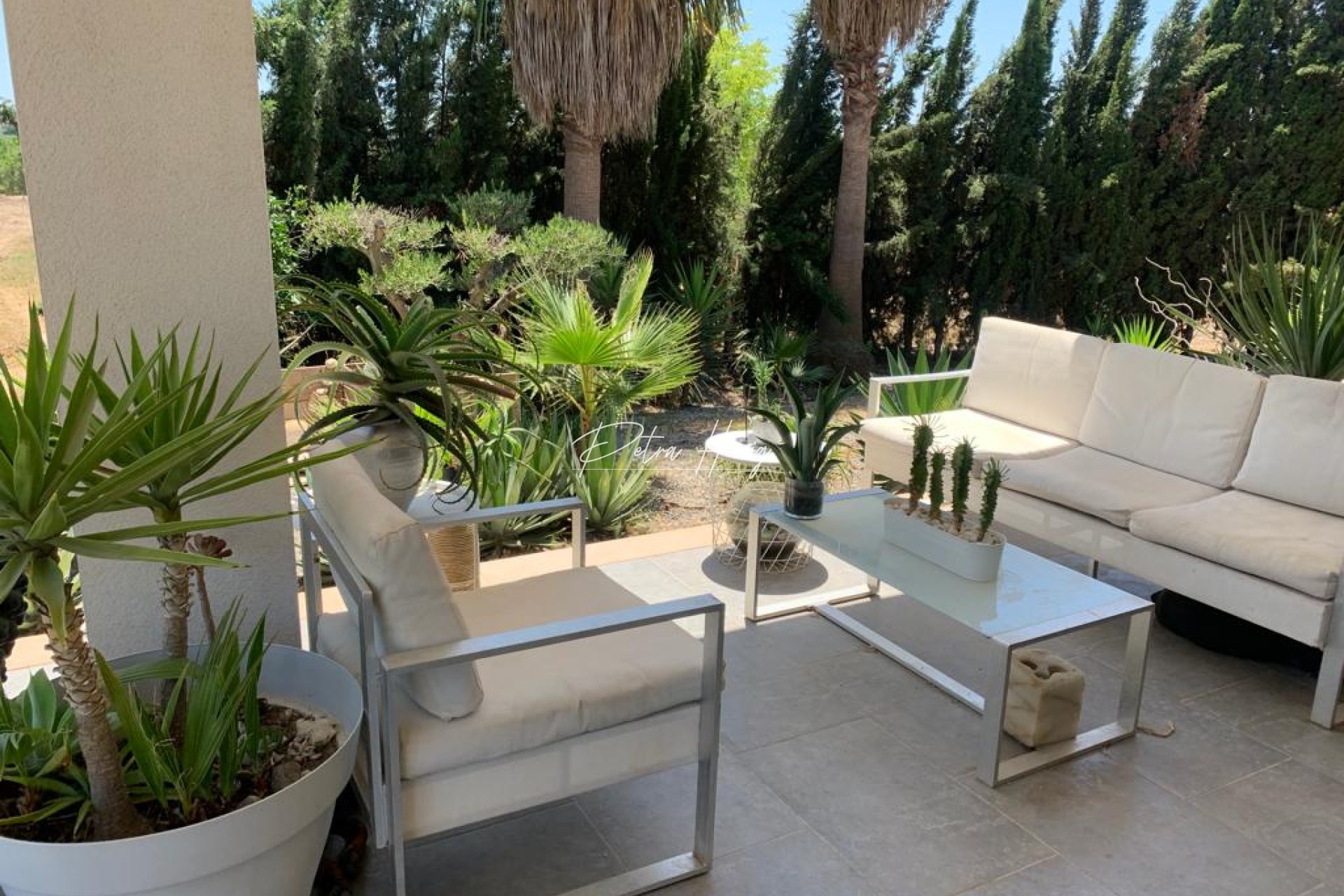 Resales - Finca - Daya Nueva