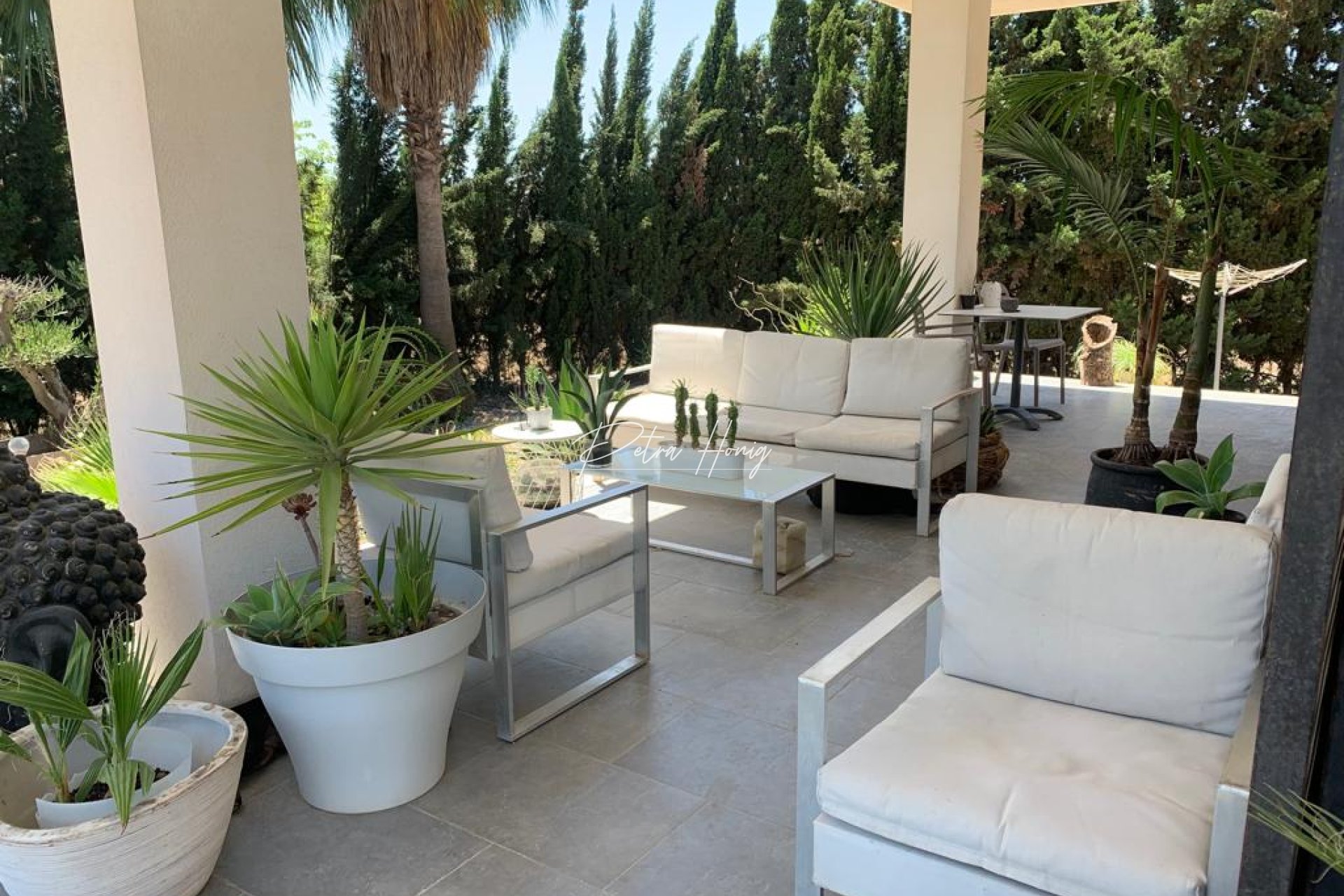 Resales - Finca - Daya Nueva