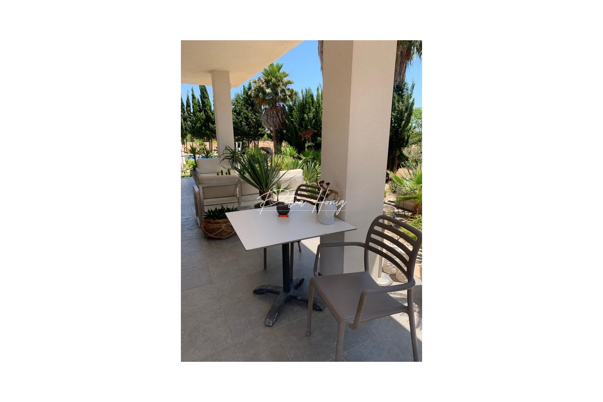 Resales - Finca - Daya Nueva