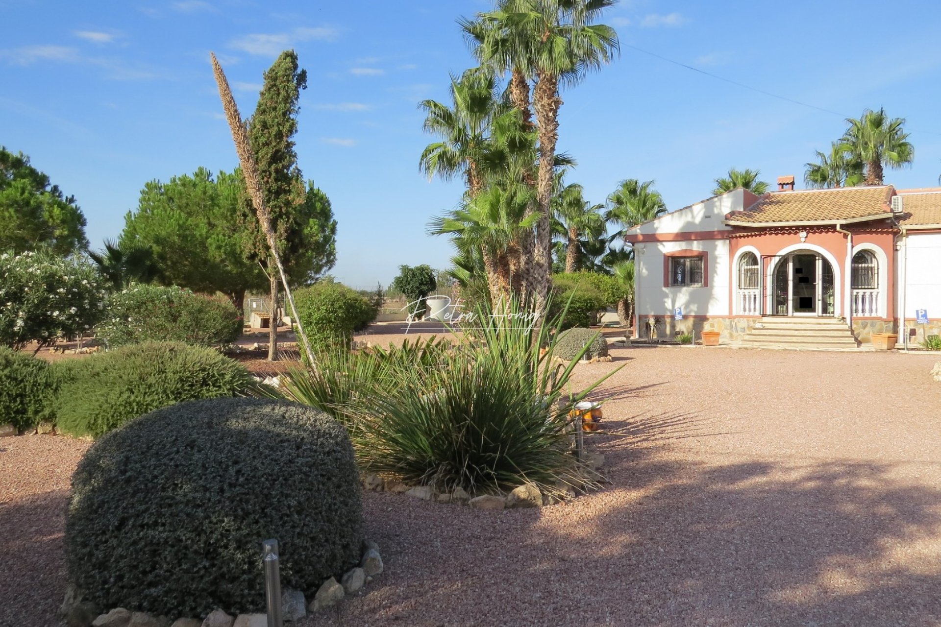 Resales - Finca - Daya Vieja