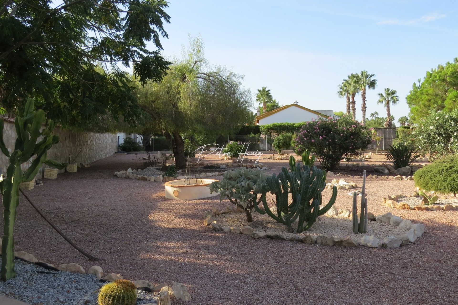 Resales - Finca - Daya Vieja