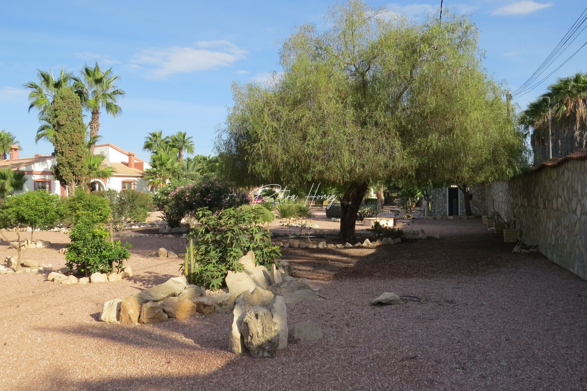 Resales - Finca - Daya Vieja