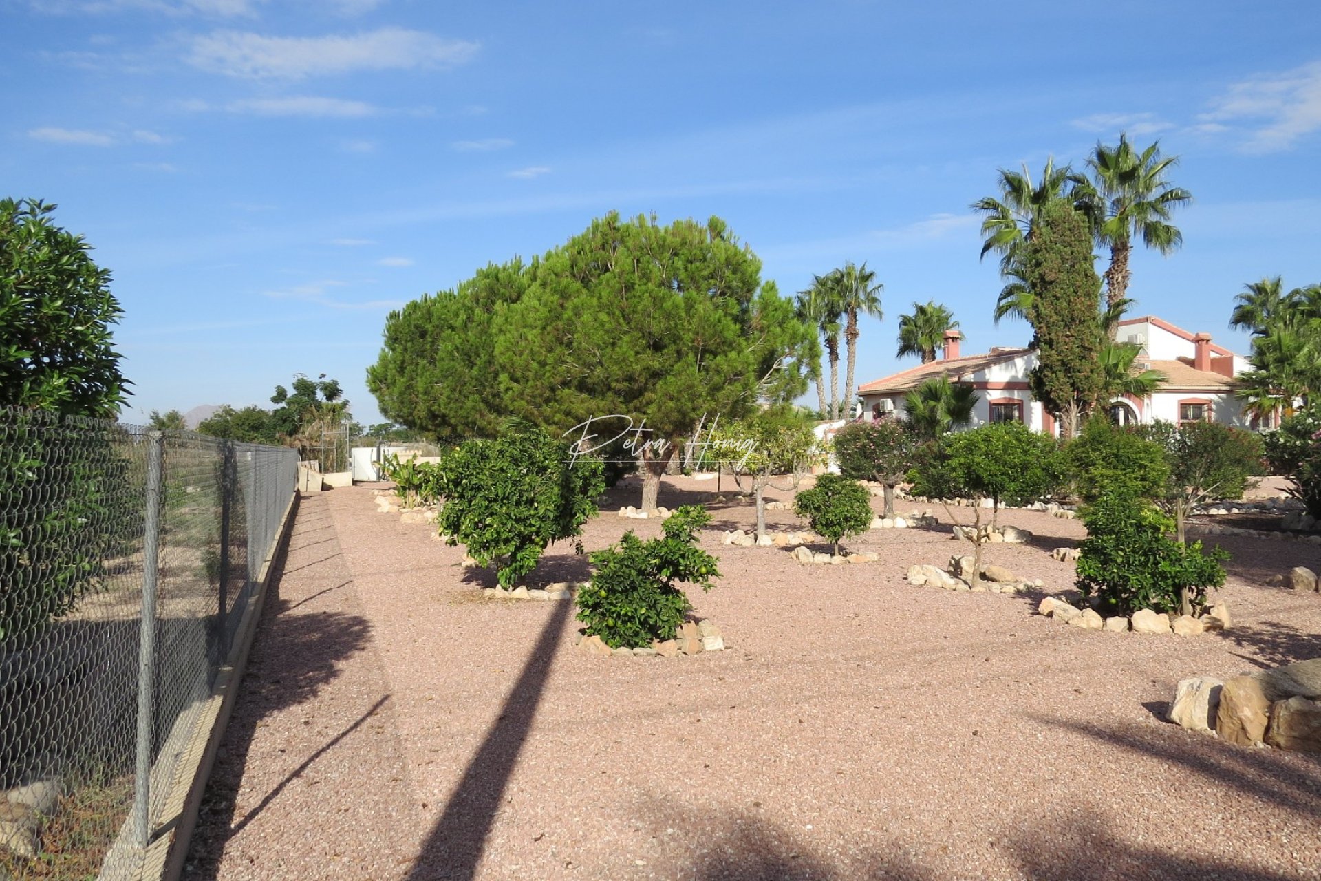 Resales - Finca - Daya Vieja