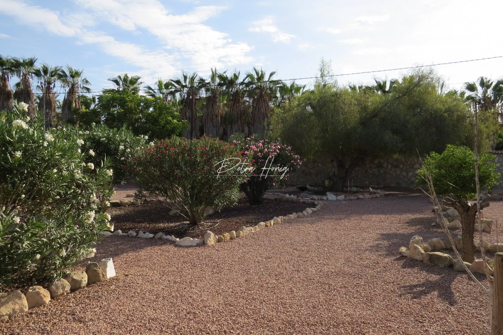 Resales - Finca - Daya Vieja