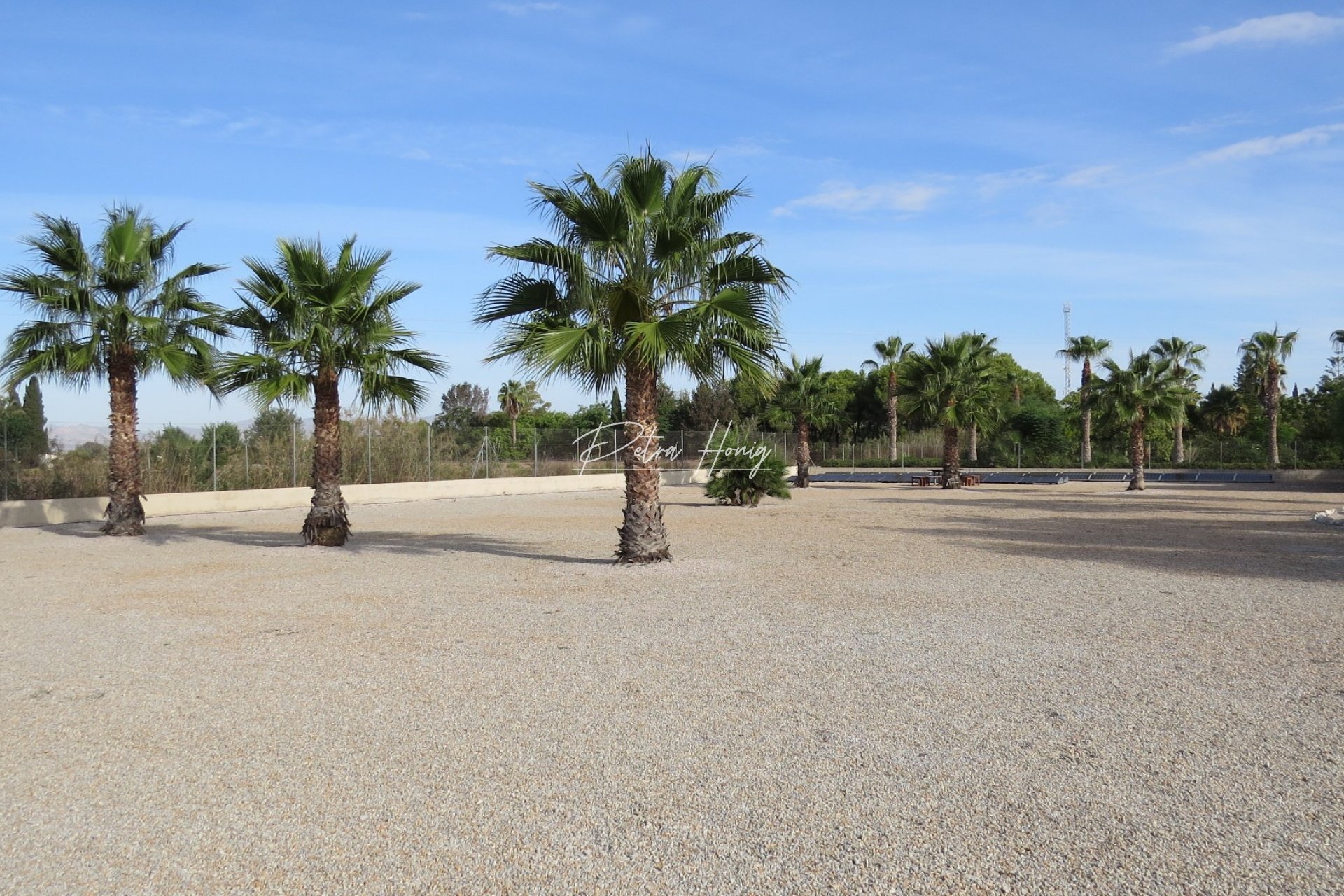 Resales - Finca - Daya Vieja