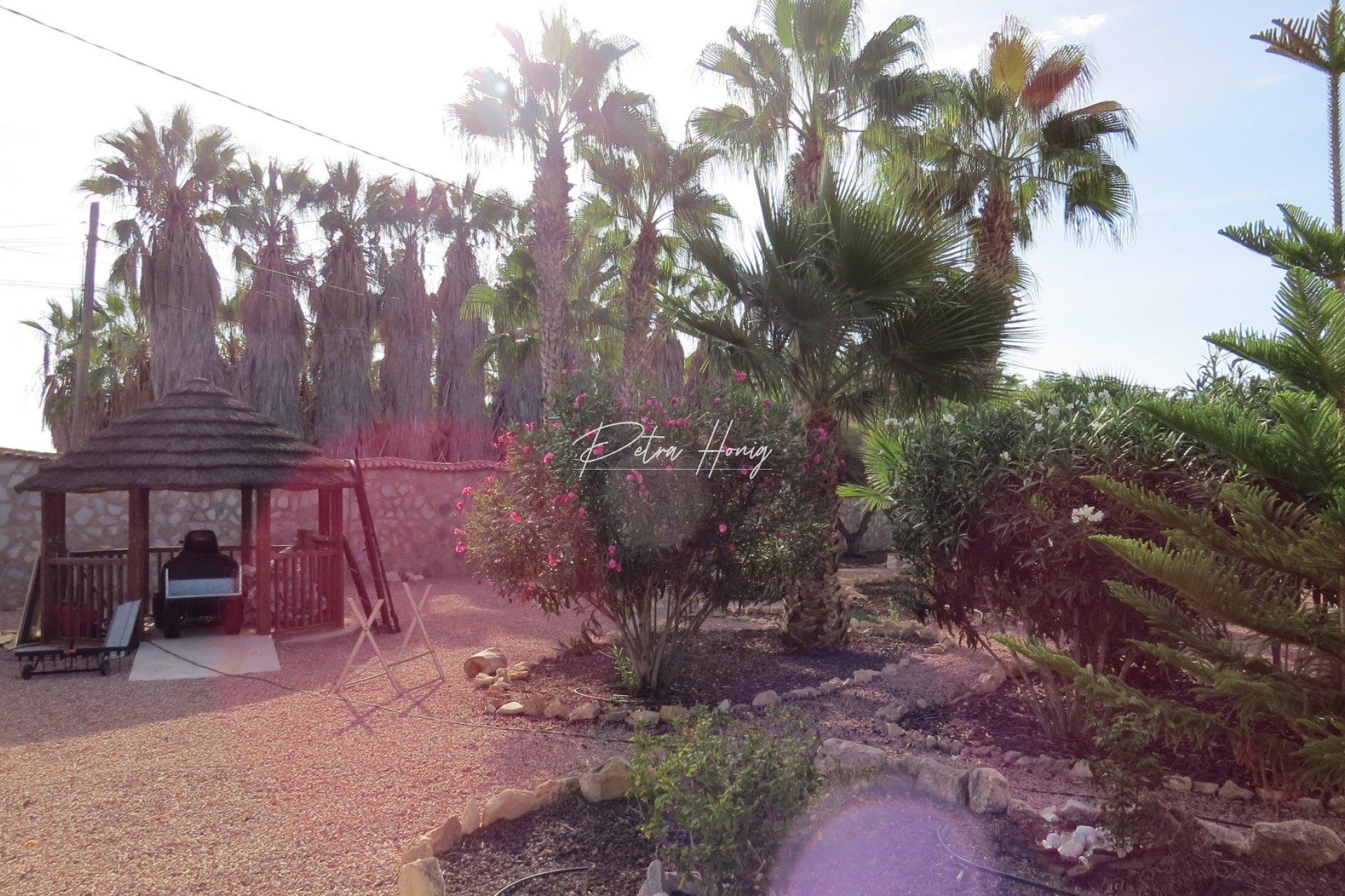 Resales - Finca - Daya Vieja