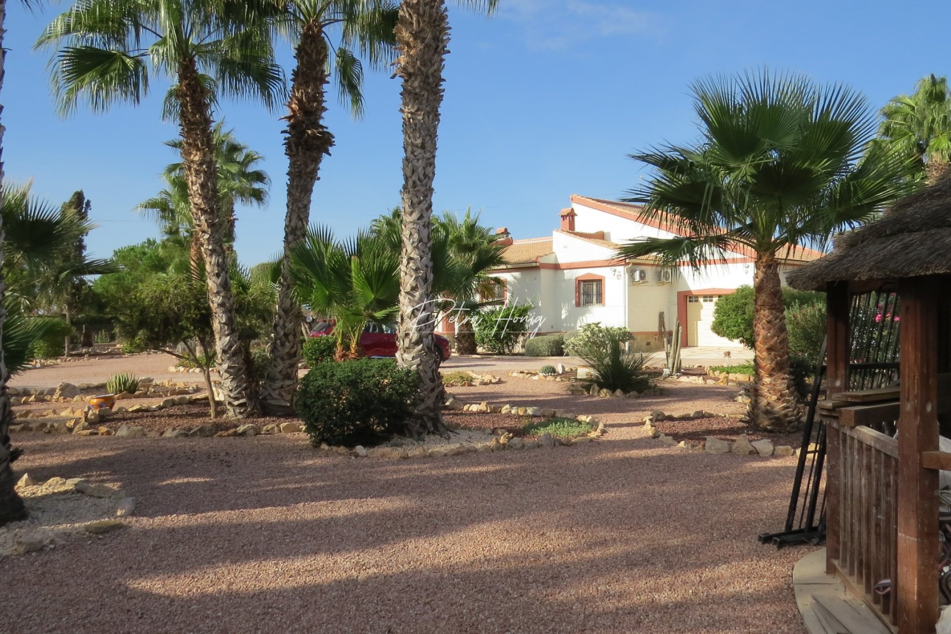 Resales - Finca - Daya Vieja