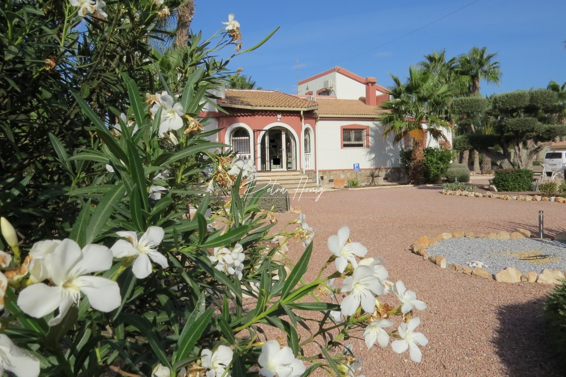 Resales - Finca - Daya Vieja