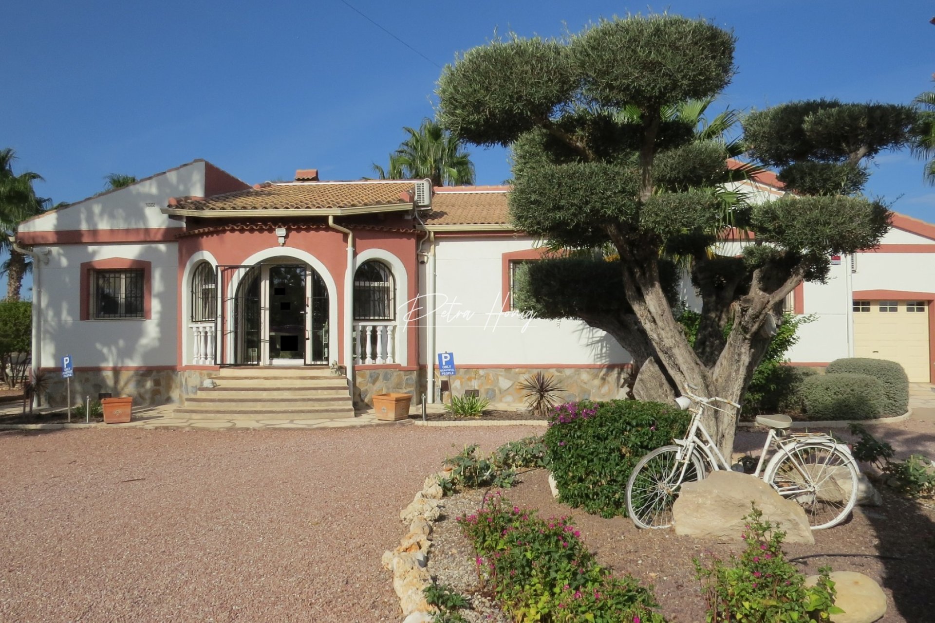 Resales - Finca - Daya Vieja