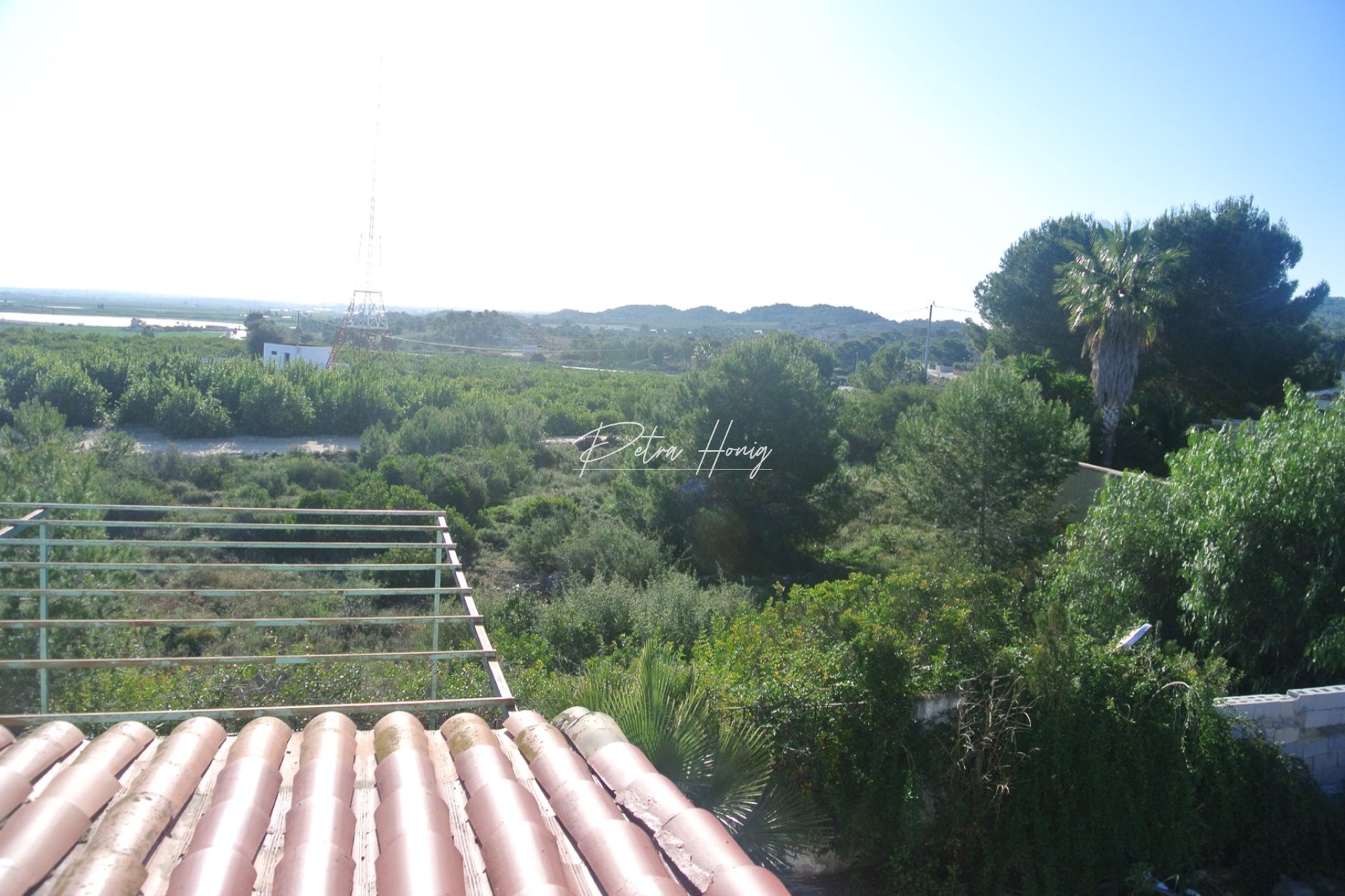 Resales - Finca - Jacarilla