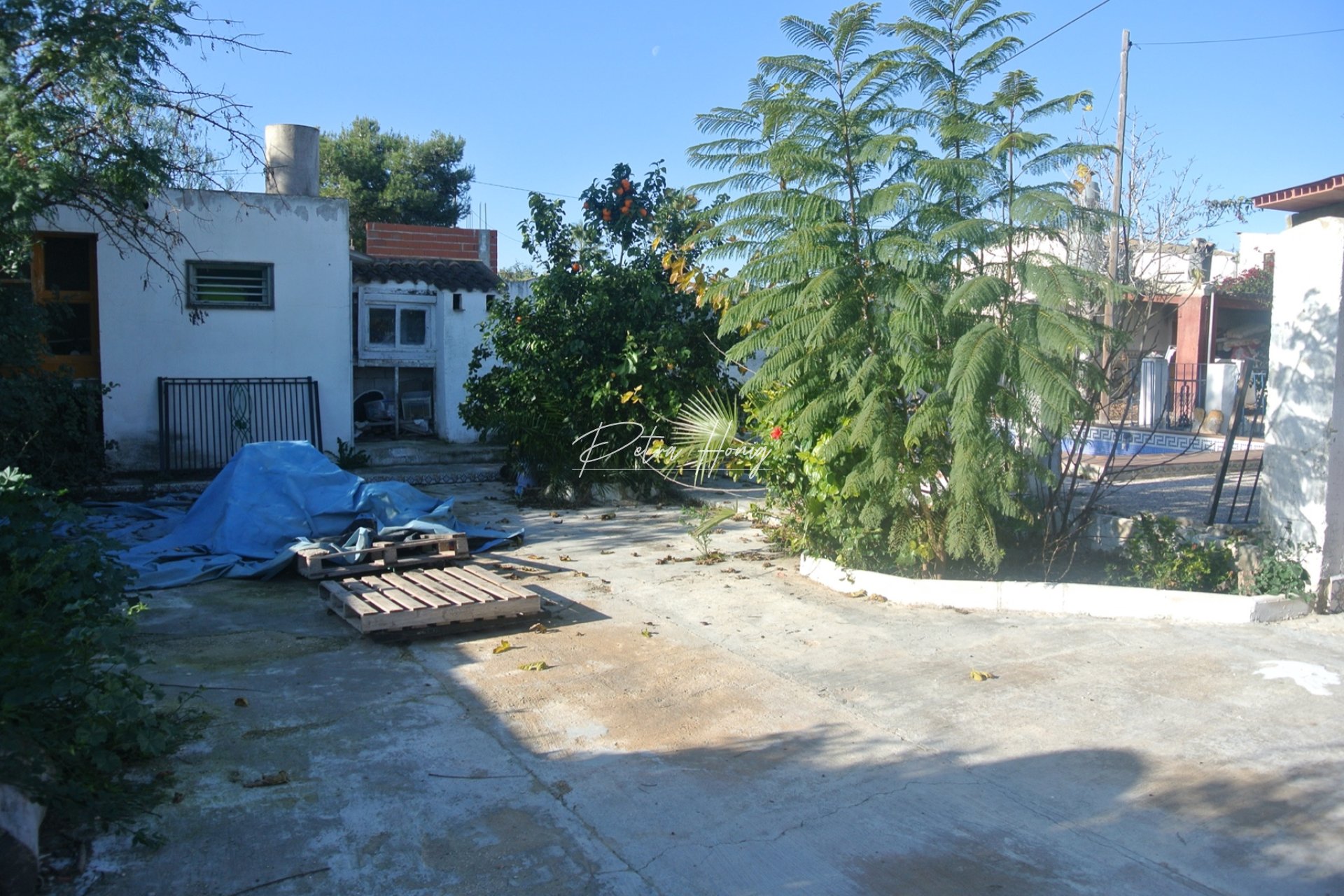 Resales - Finca - Jacarilla