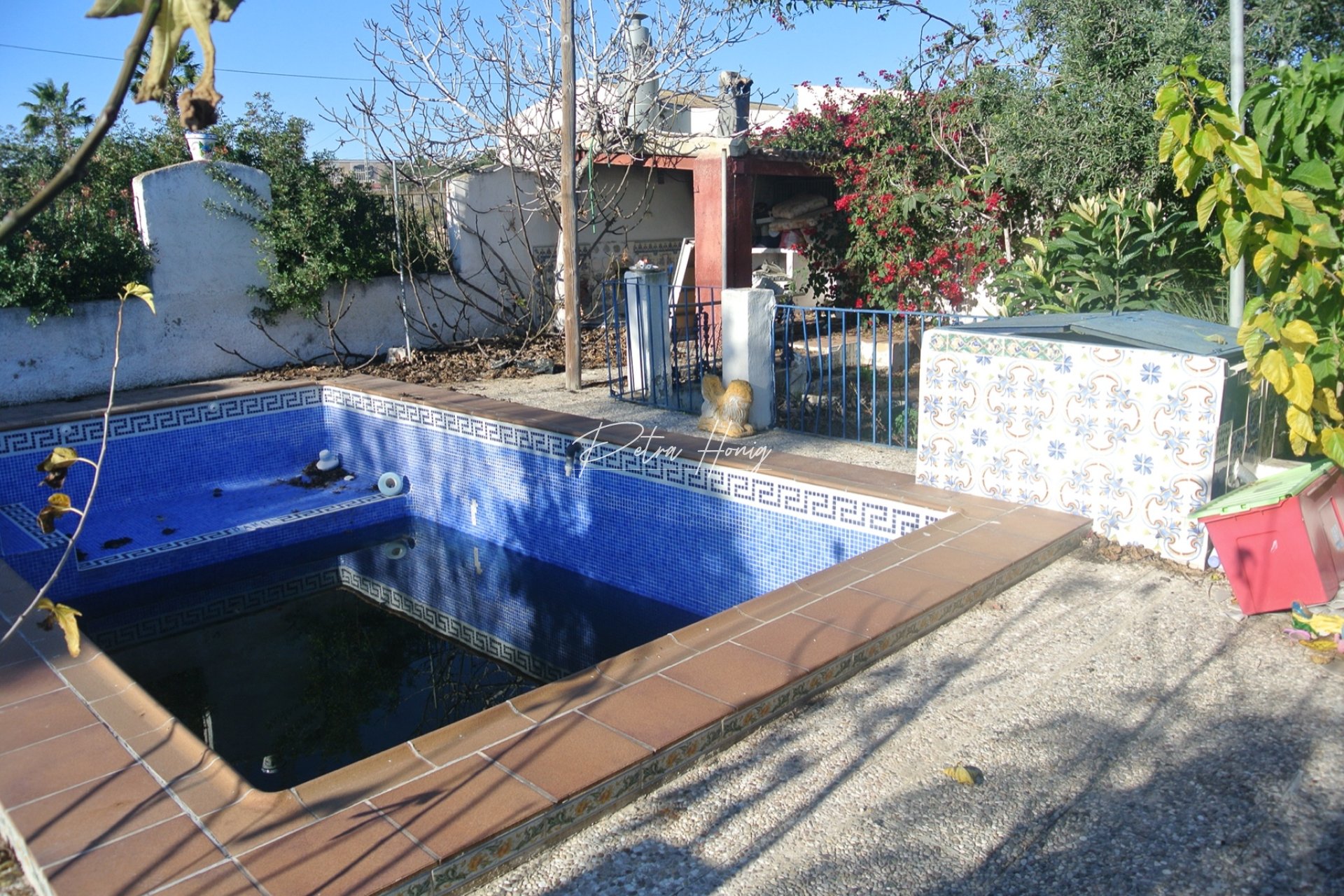 Resales - Finca - Jacarilla