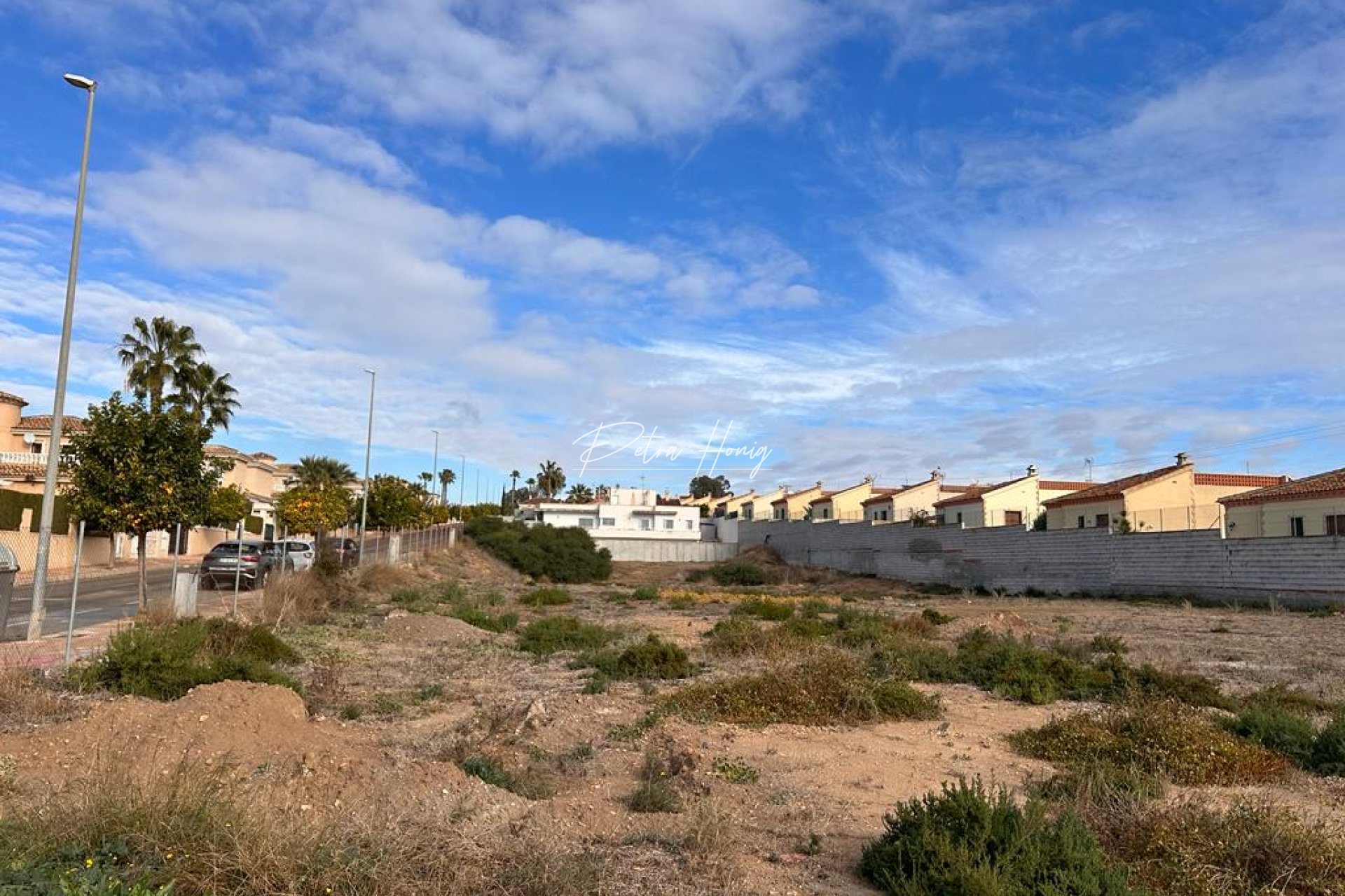 Resales - Finca - La Marina - LA MARINA