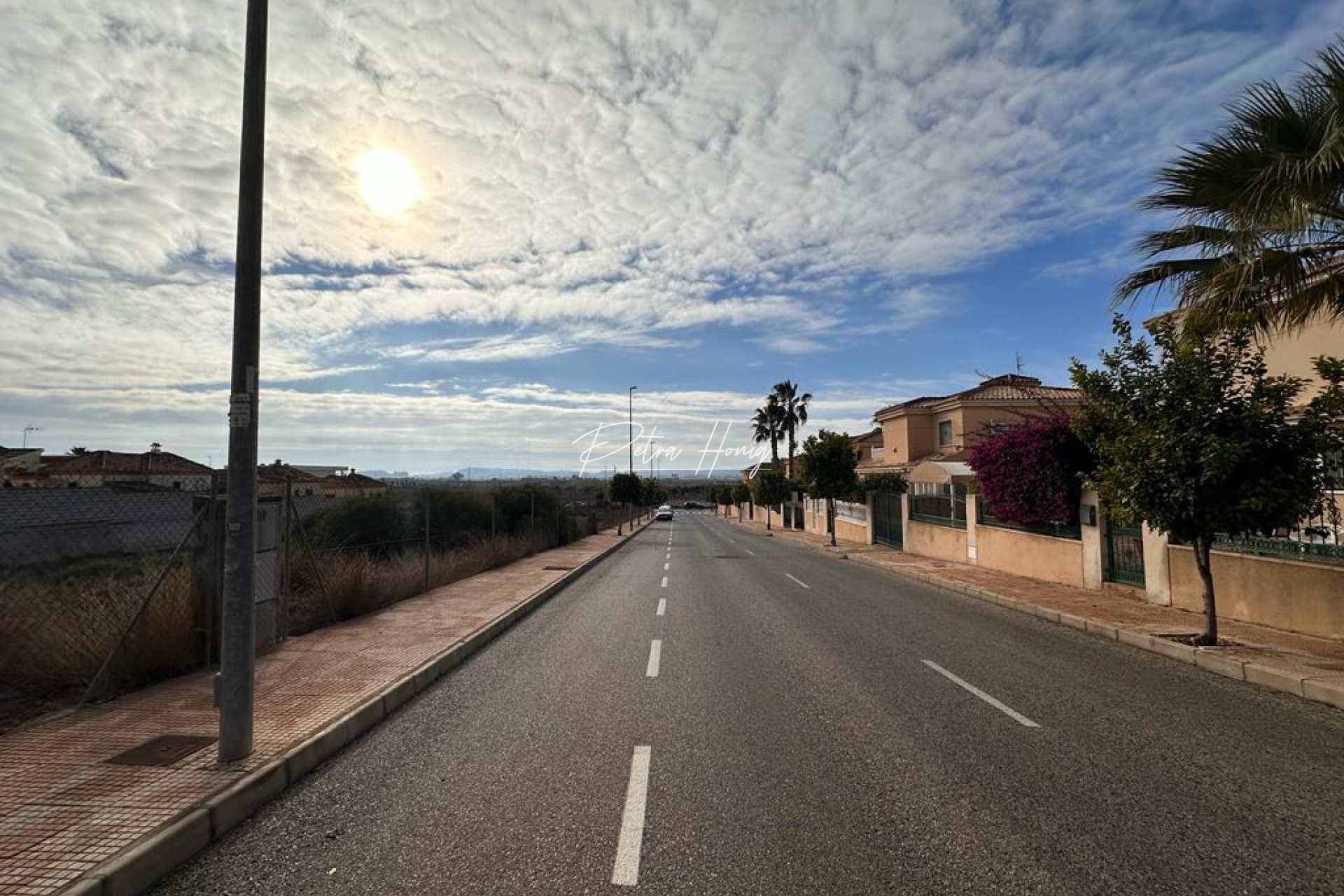 Resales - Finca - La Marina - LA MARINA
