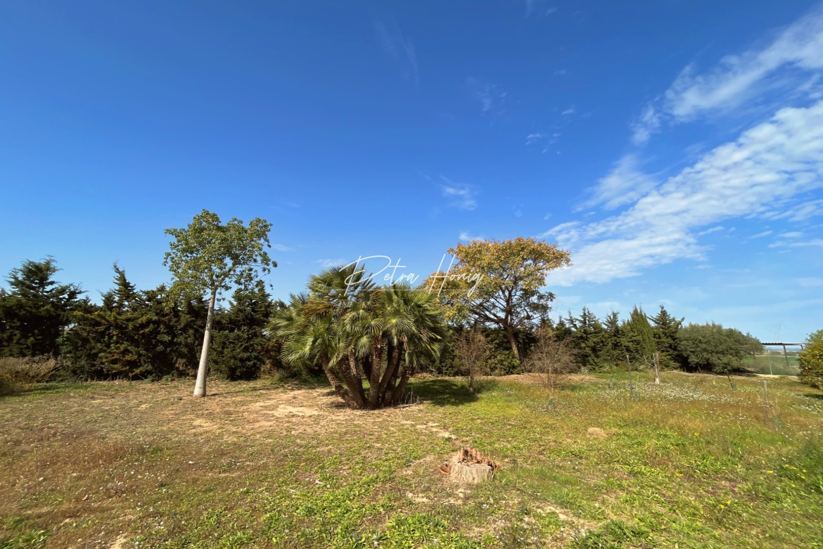 Resales - Finca - Los Alcazares