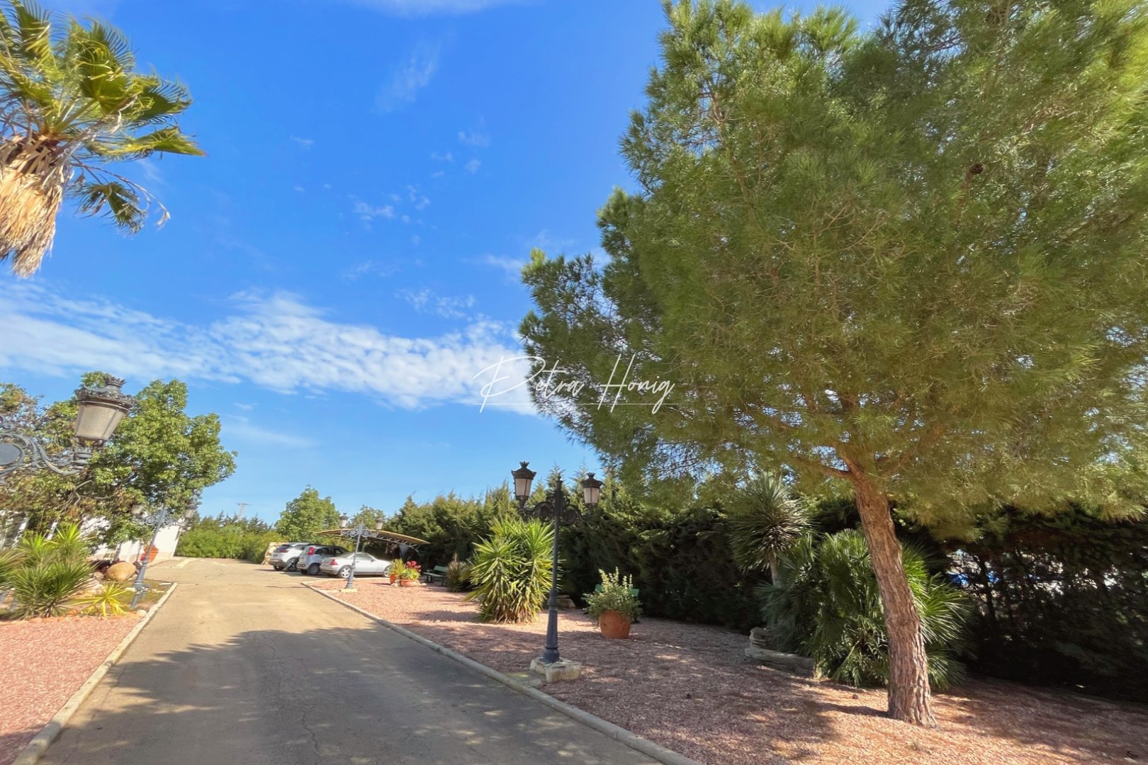 Resales - Finca - Los Alcazares