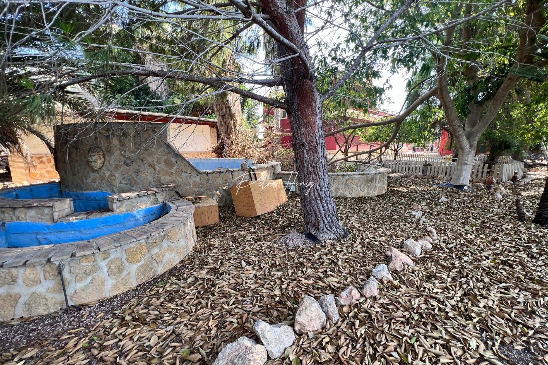 Resales - Finca - Los Montesinos