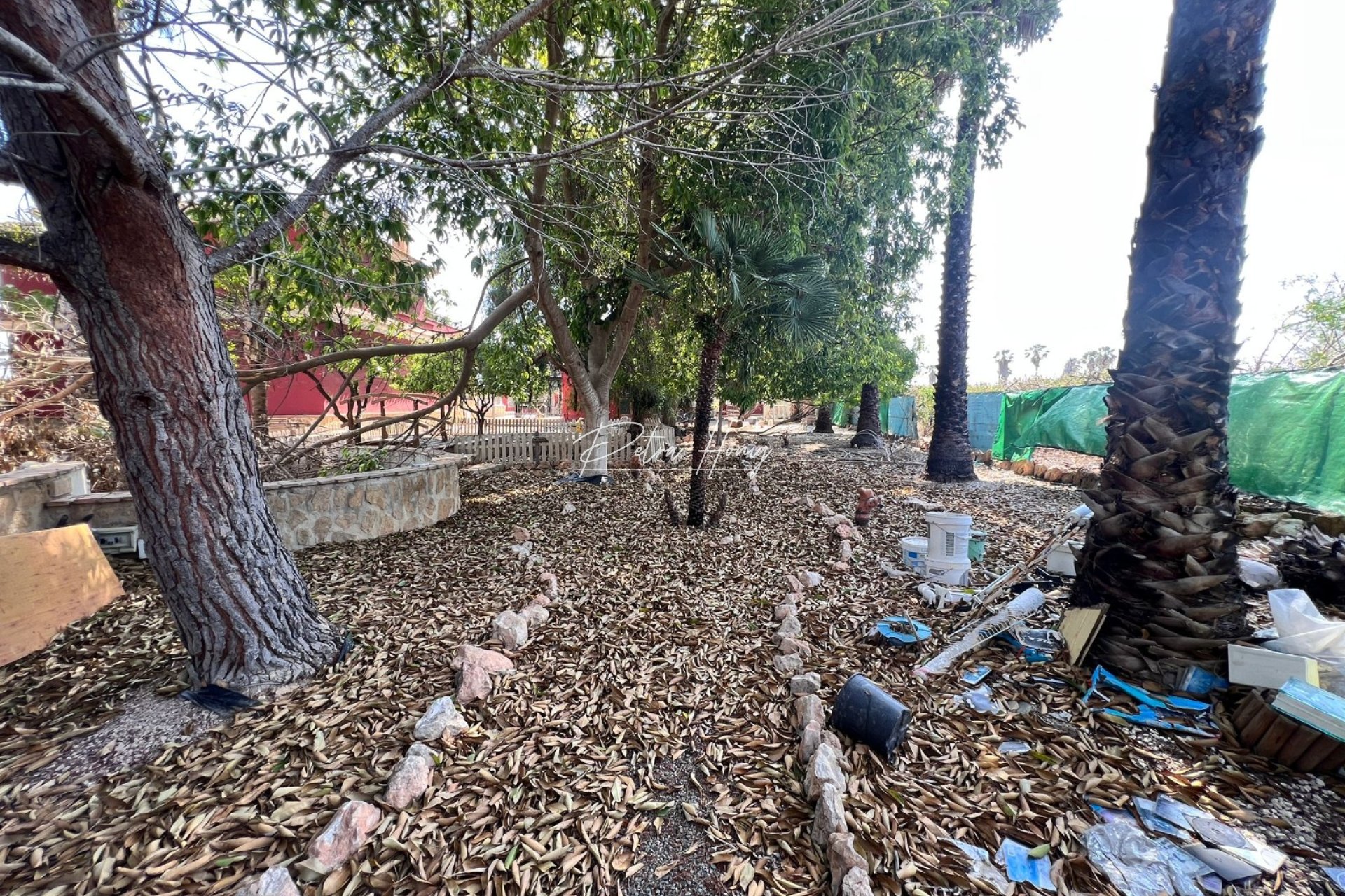 Resales - Finca - Los Montesinos