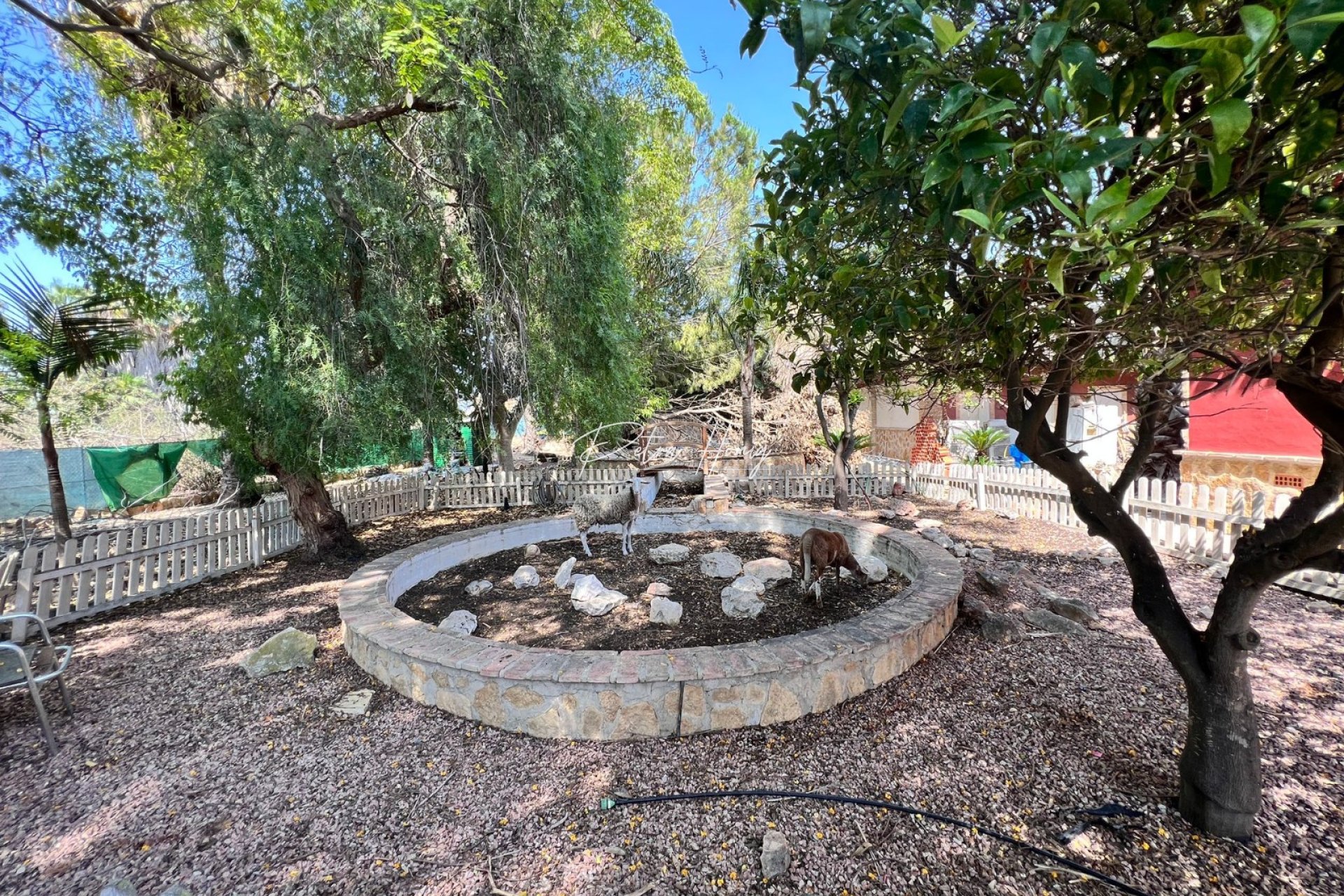 Resales - Finca - Los Montesinos