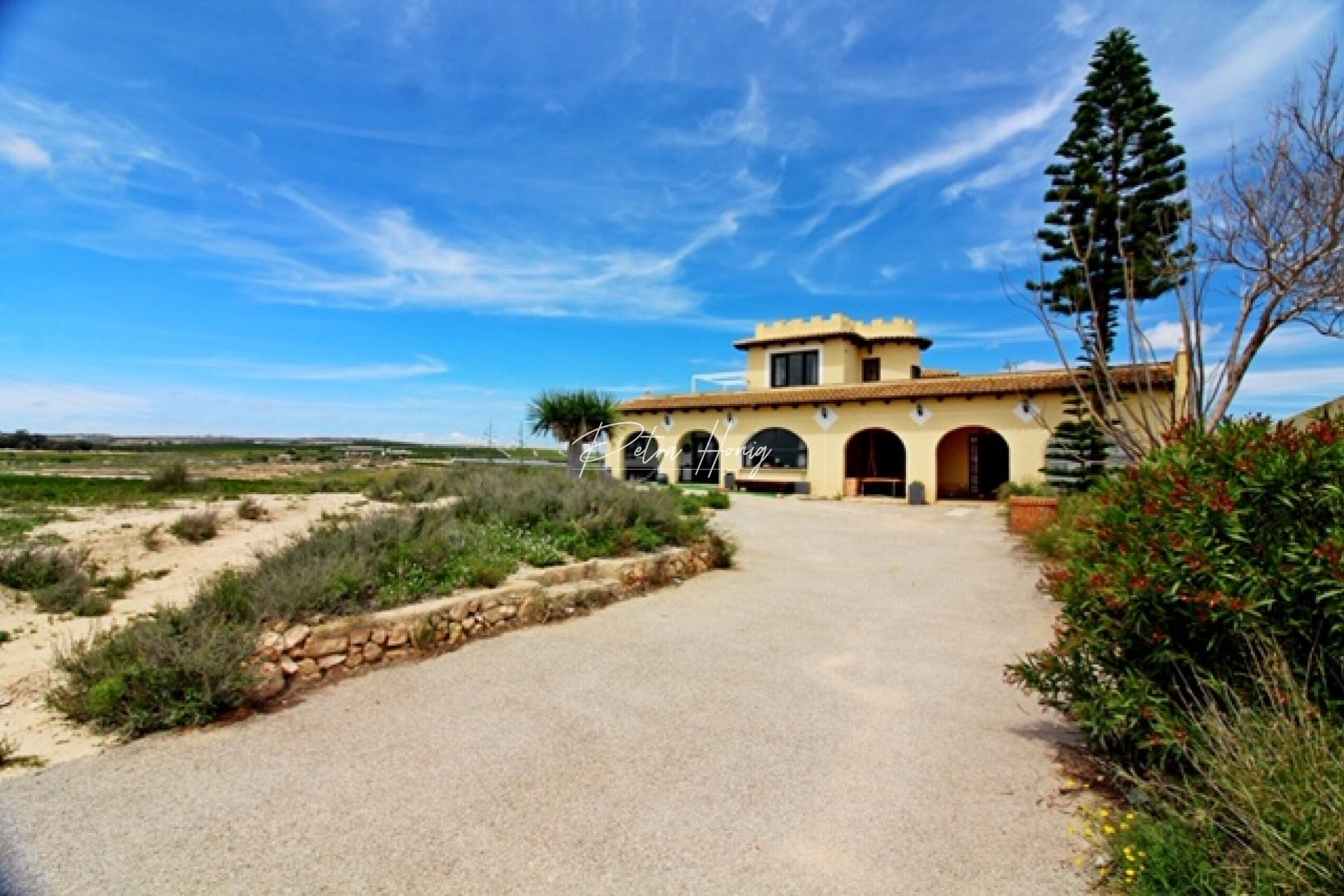 Resales - Finca - Los Montesinos